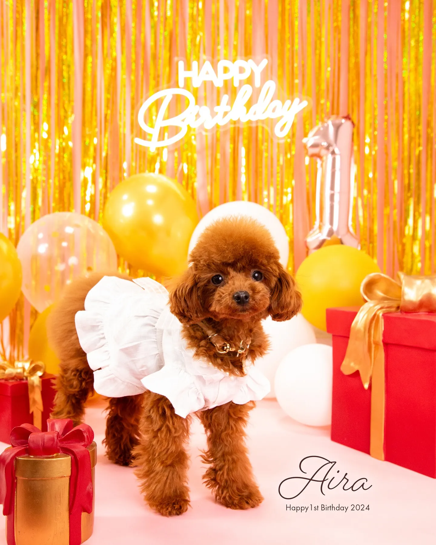 【BIRTHDAY🎉PHOTOBOOTH】