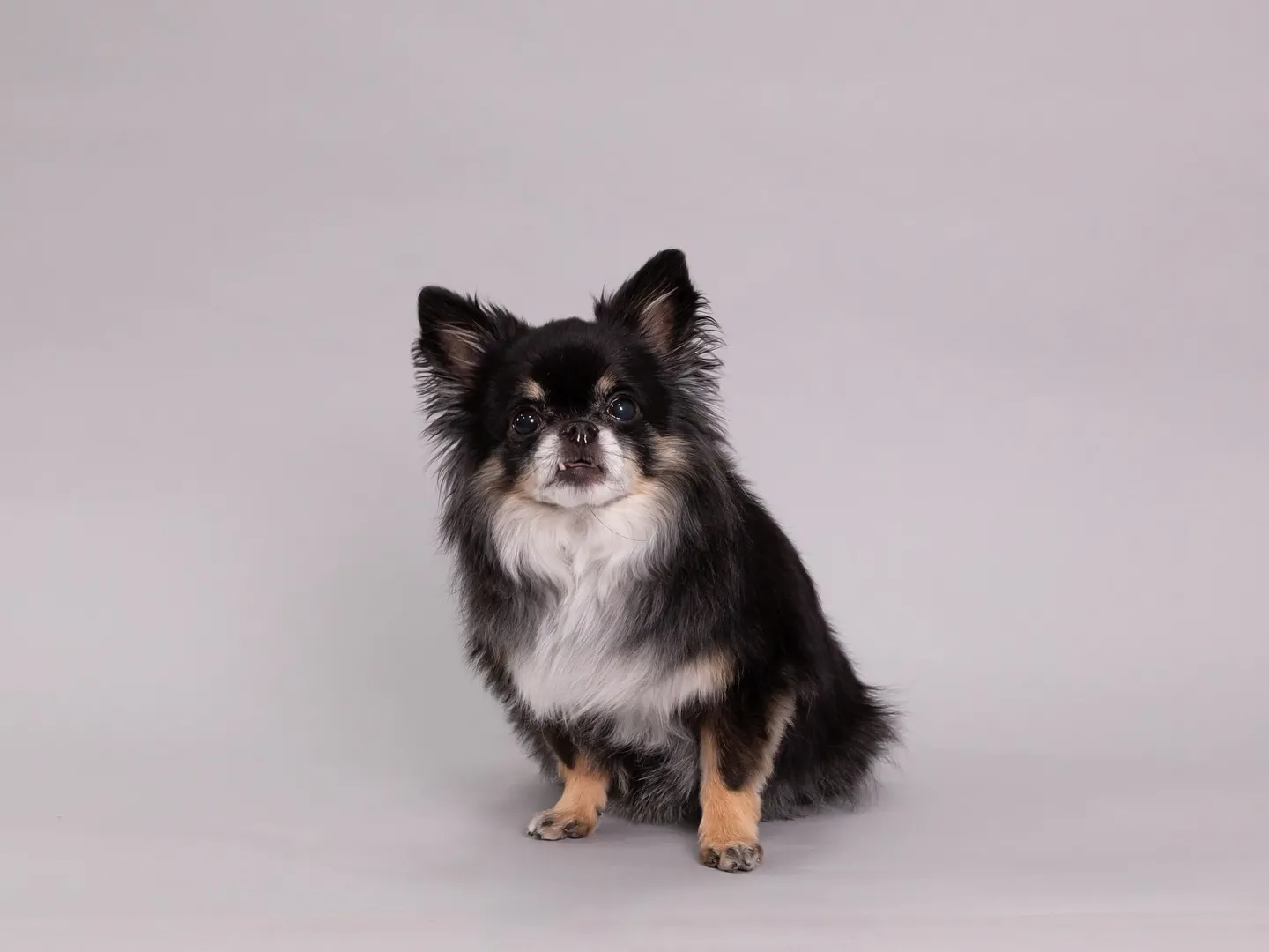 【Light-GRAY Self-photoshoot】