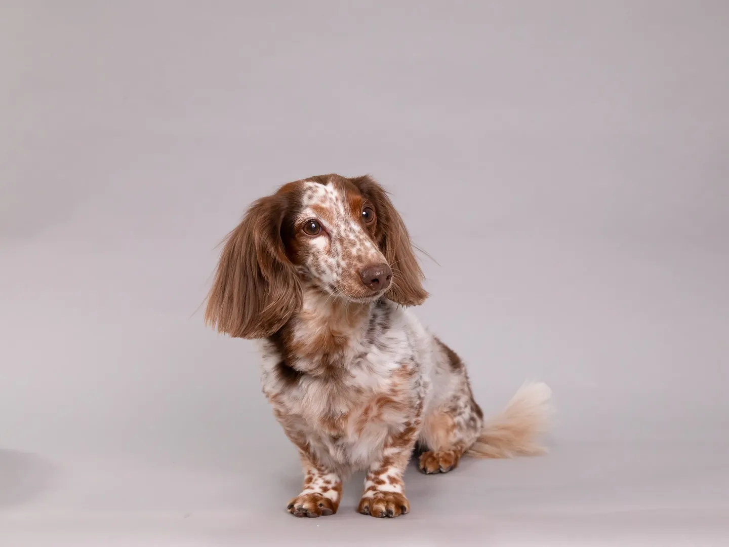 【Light-GRAY Self-photoshoot】