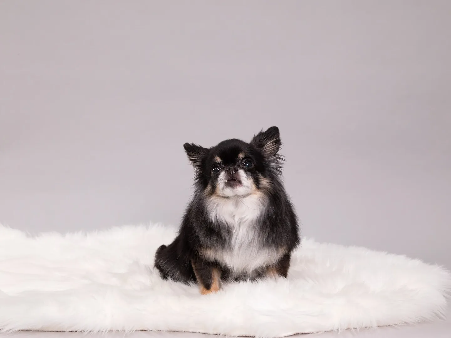 【Light-GRAY Self-photoshoot】