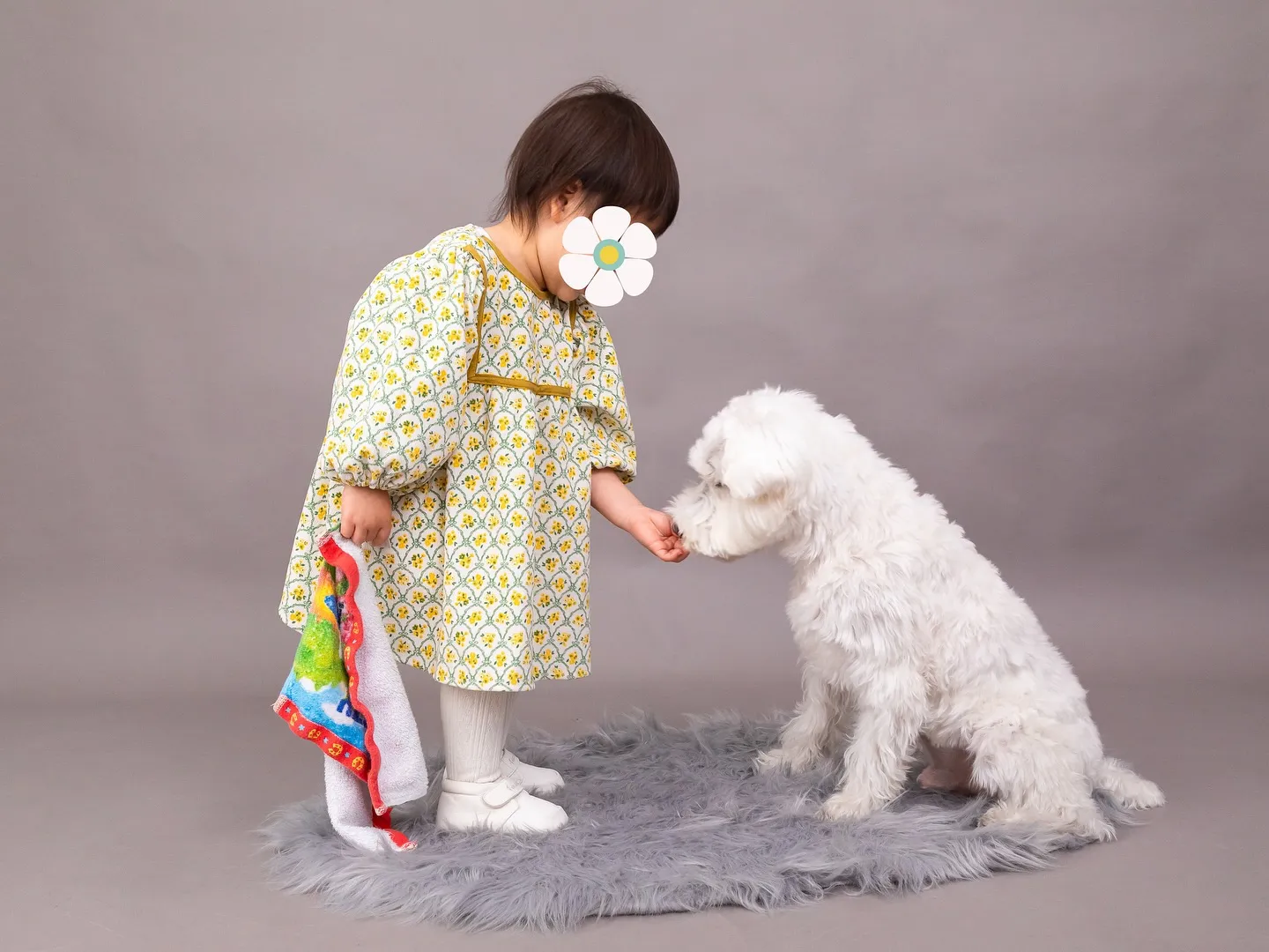 【GRAY Backdrop Photoshoot】