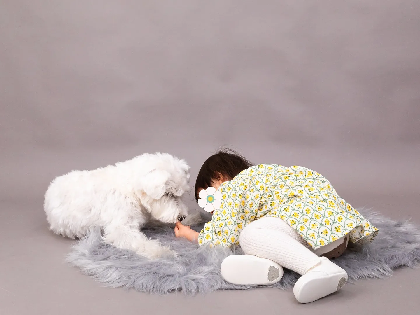 【GRAY Backdrop Photoshoot】