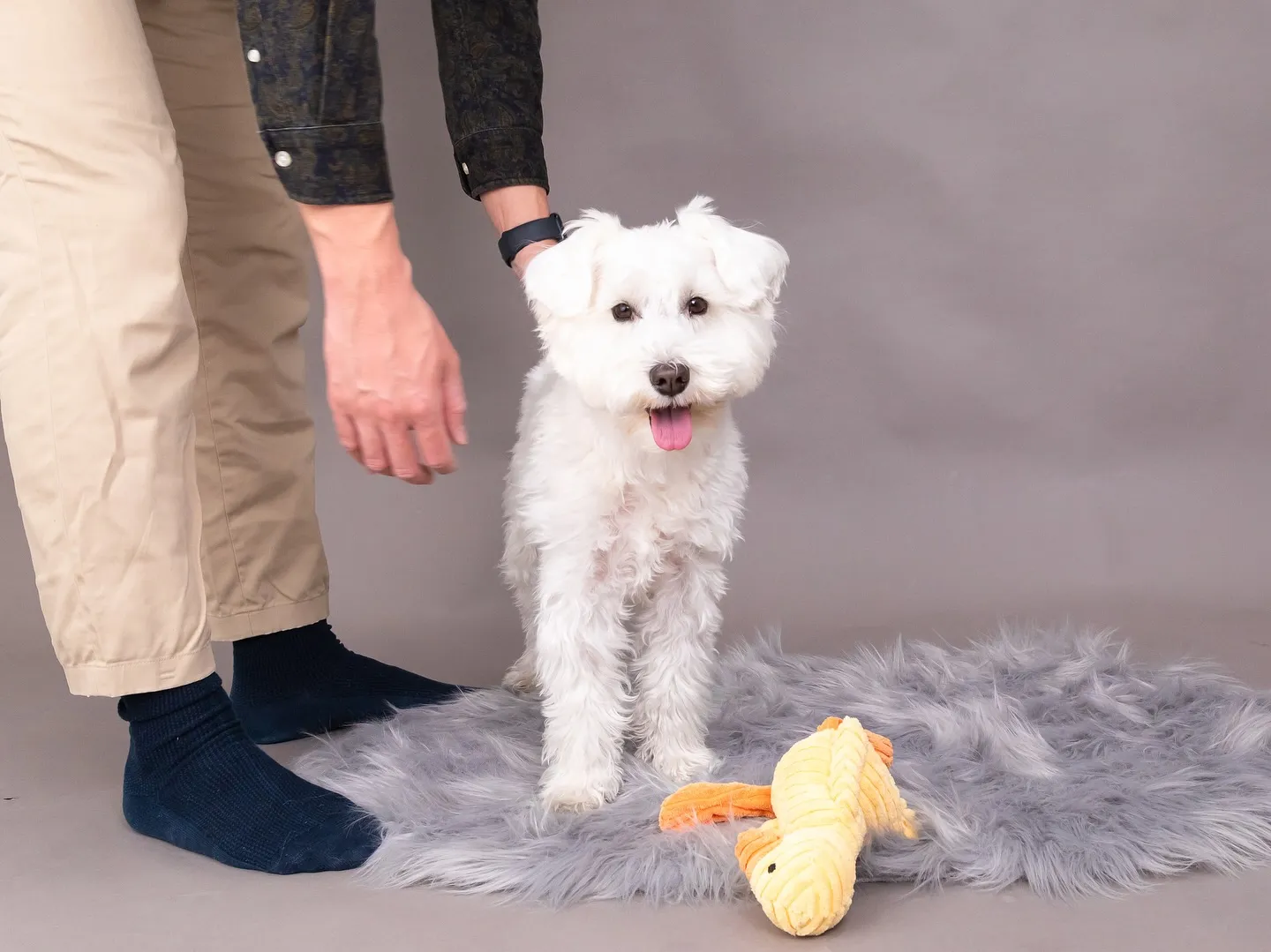 【GRAY Backdrop Photoshoot】