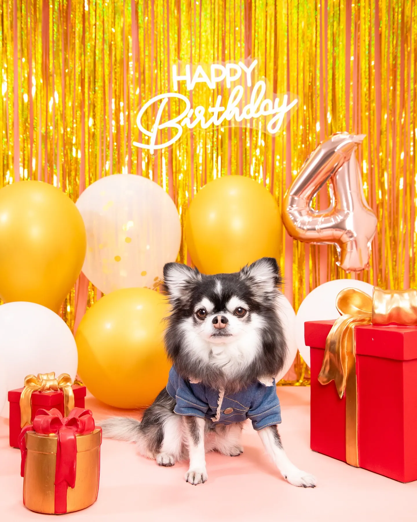 【Birthday🎉Photoshoot -ピンク-】