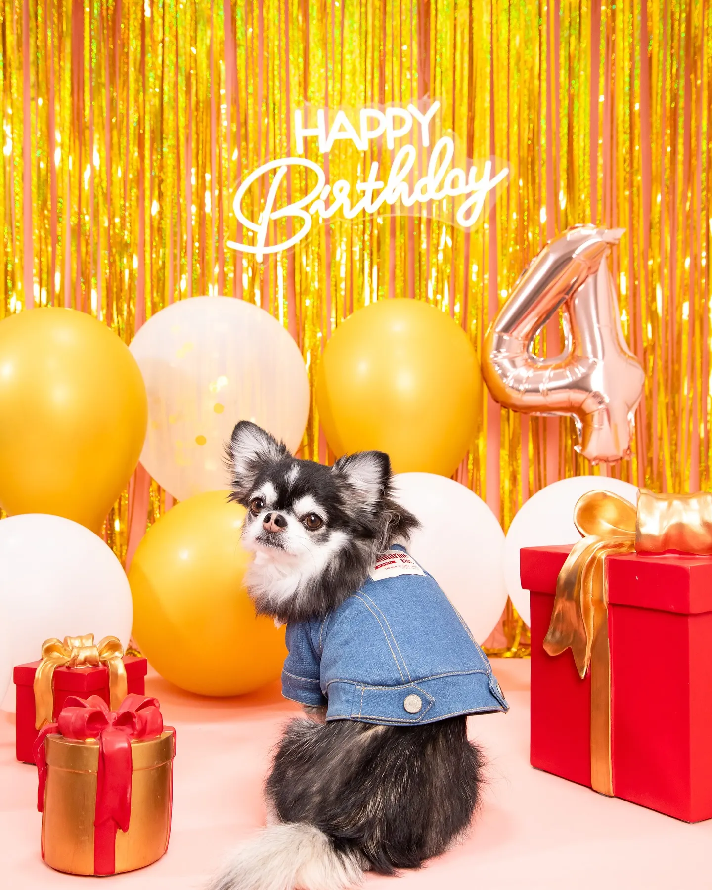 【Birthday🎉Photoshoot -ピンク-】