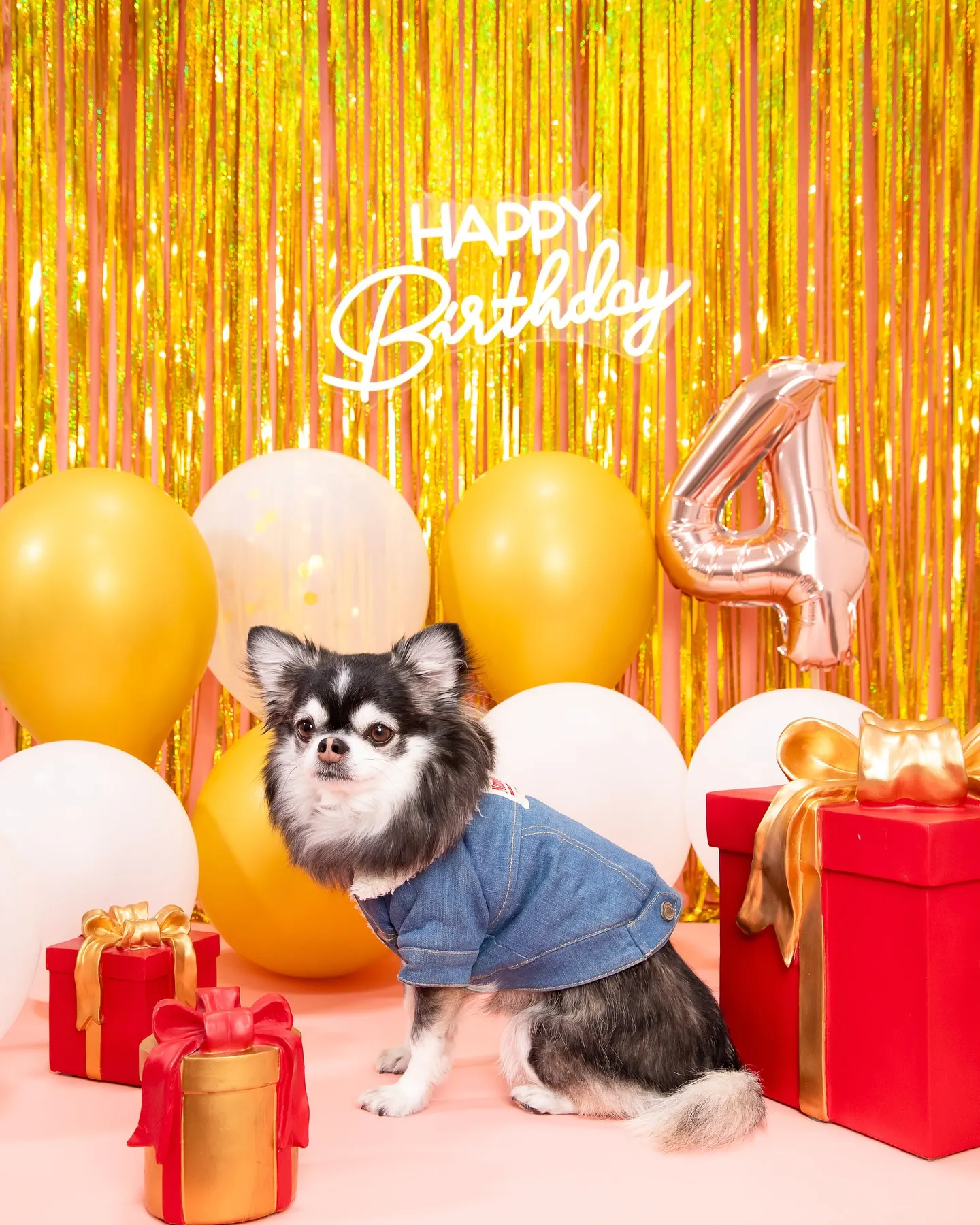 【Birthday🎉Photoshoot -ピンク-】