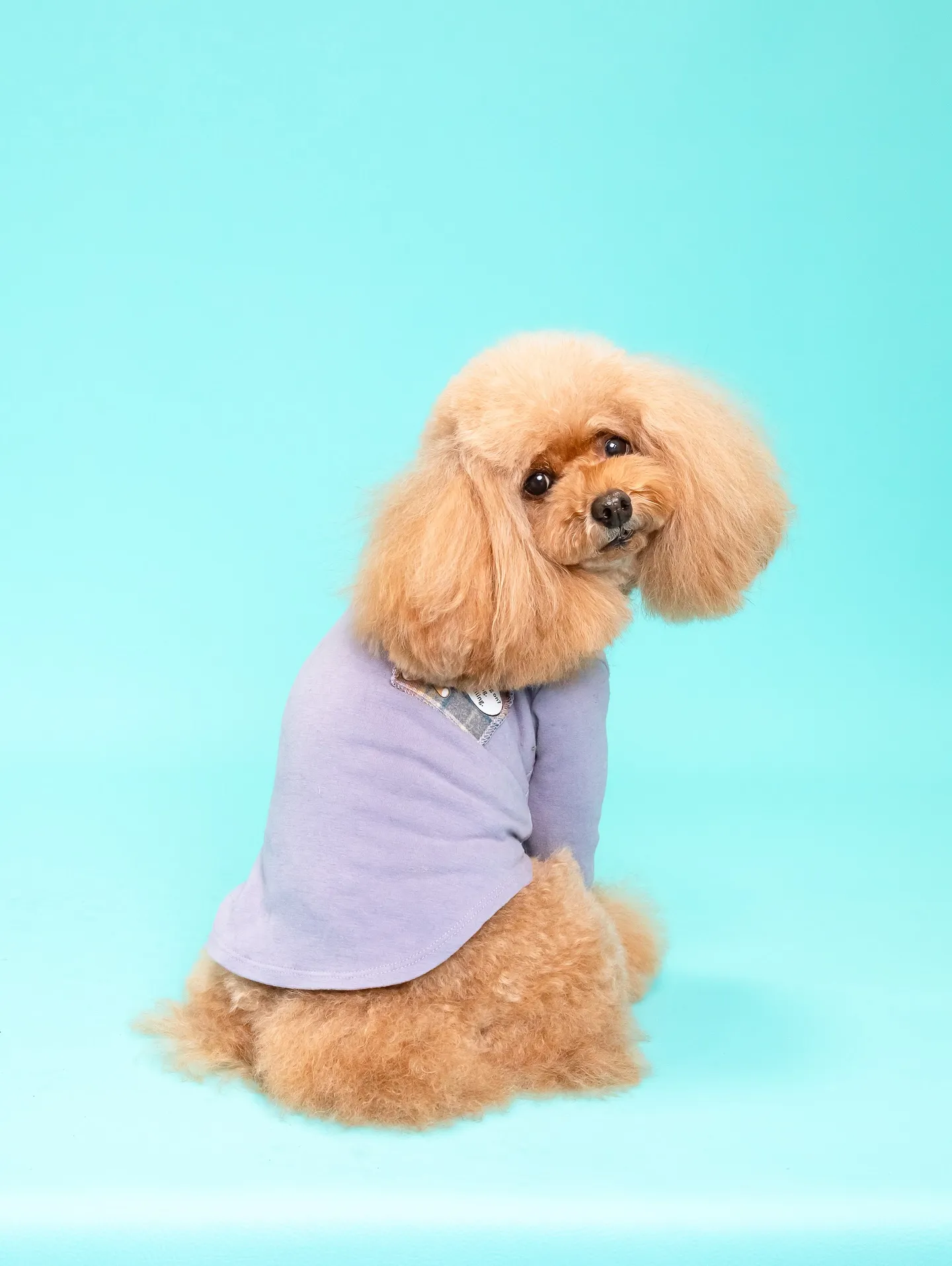 【Light-BLUE🗽Backdrop Photoshoo...