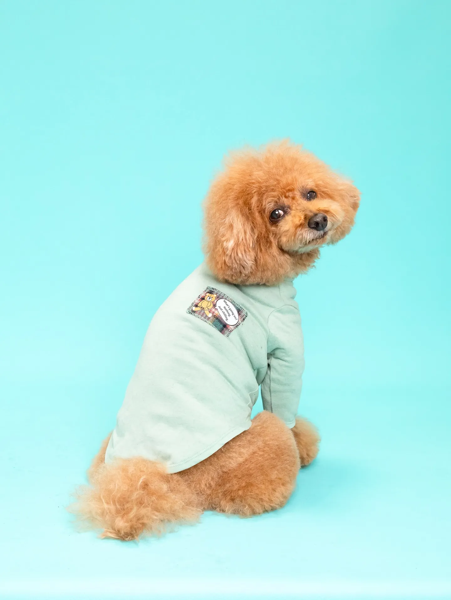 【Light-BLUE🗽Backdrop Photoshoo...