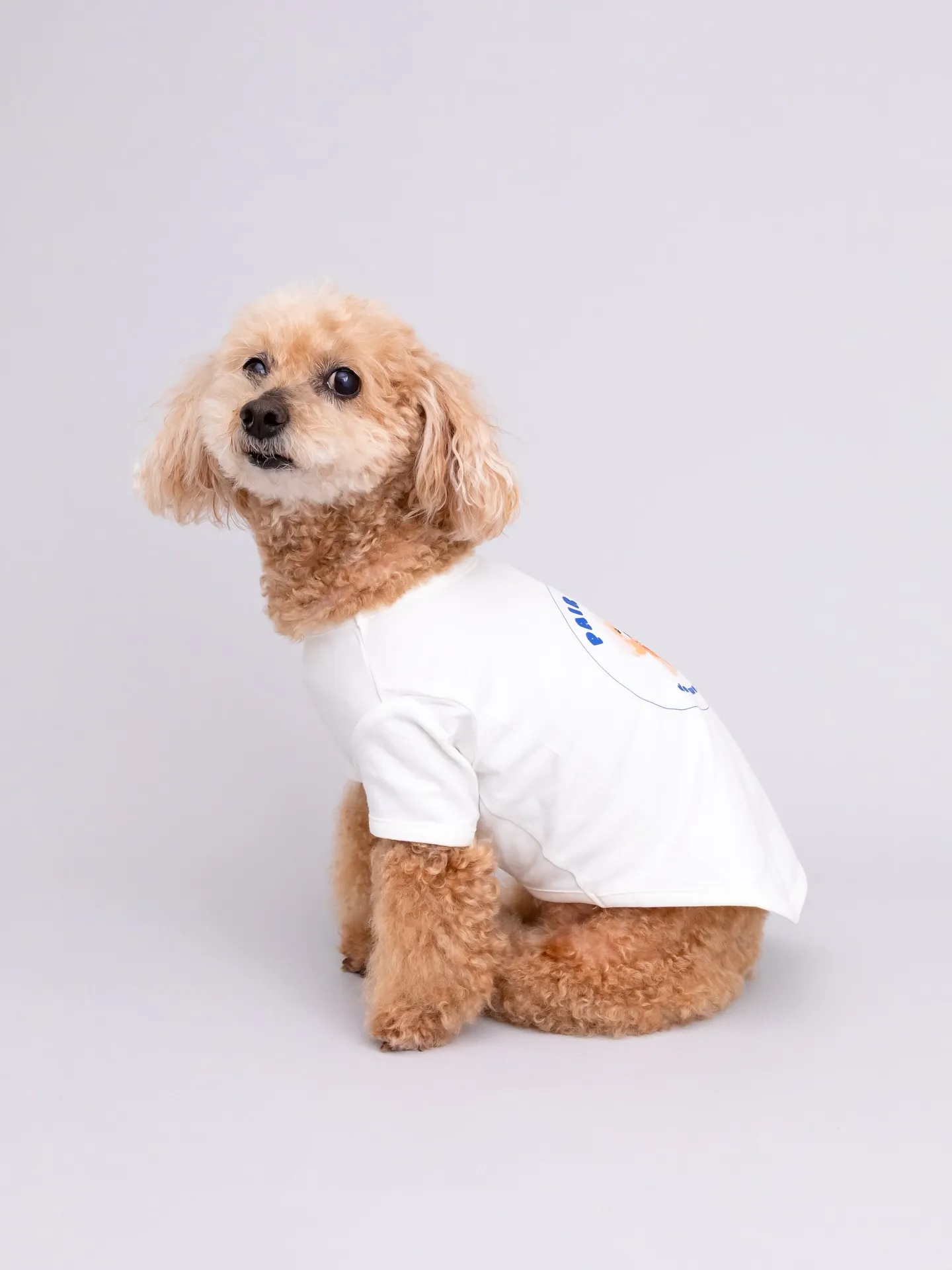 【Light-GRAY Photoshoot】