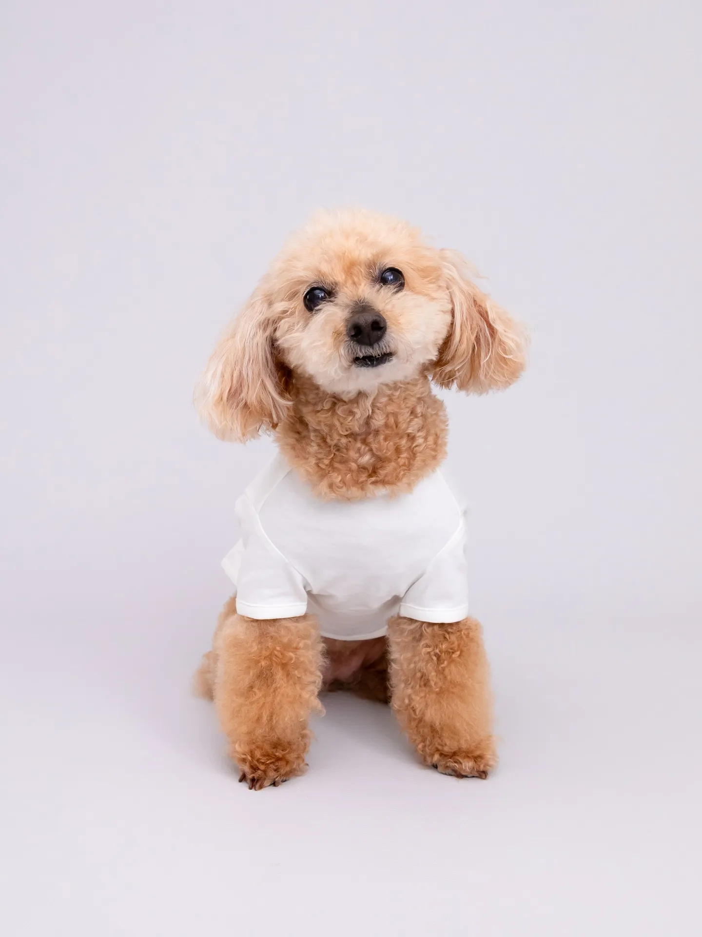 【Light-GRAY Photoshoot】