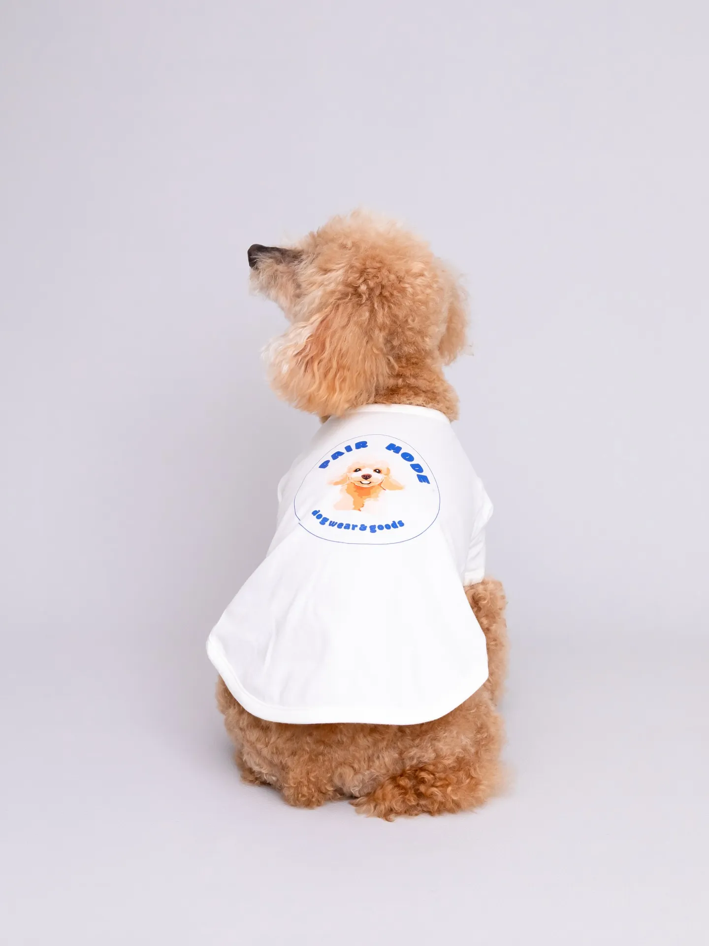 【Light-GRAY Photoshoot】