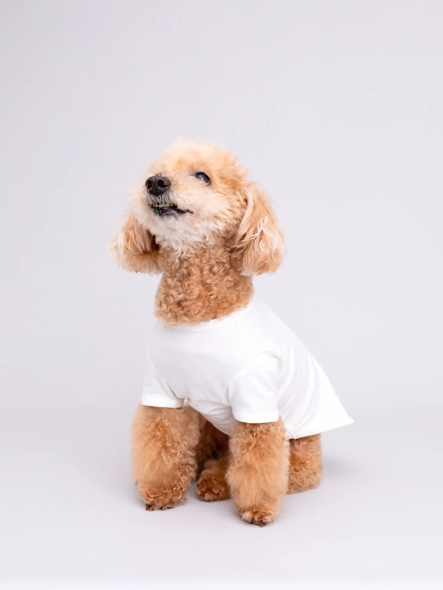 【Light-GRAY Photoshoot】