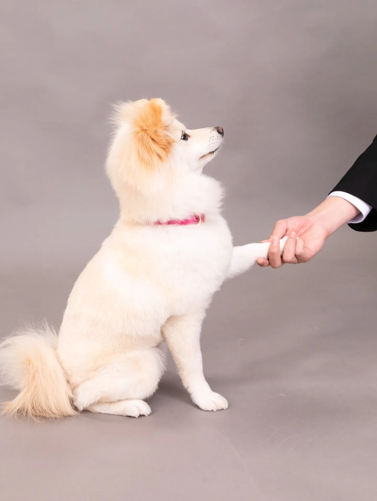 【GRAY Backdrop Photoshoot】