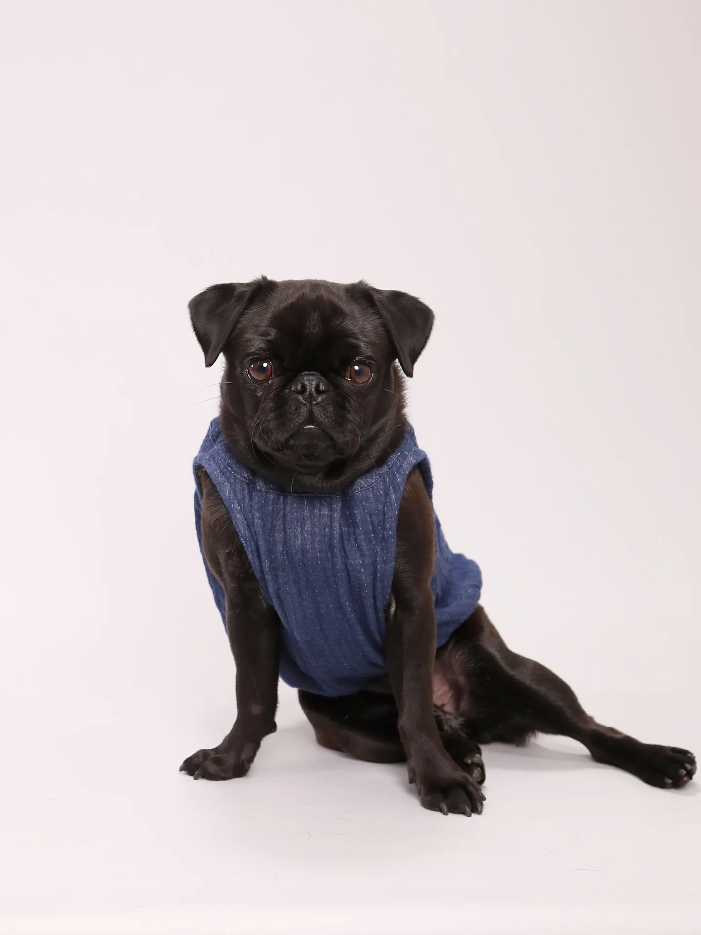 【Light-GRAY Photoshoot】