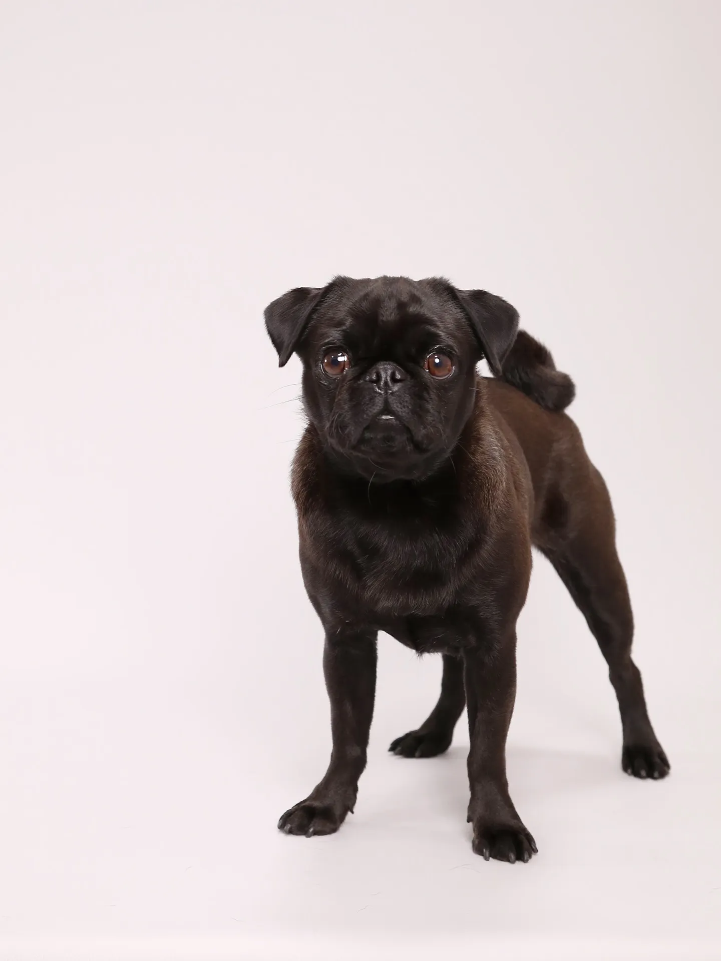 【Light-GRAY Photoshoot】