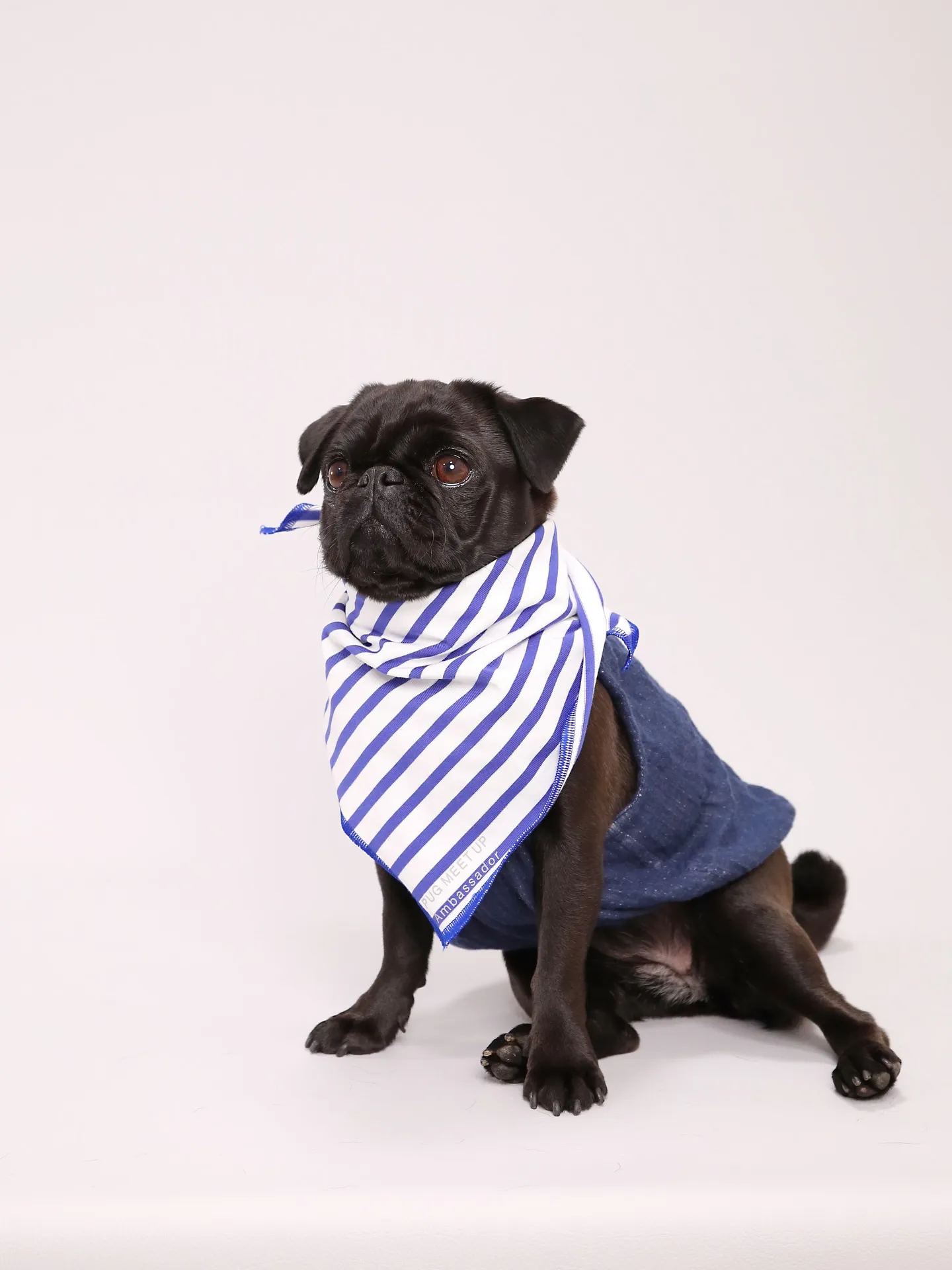 【Light-GRAY Photoshoot】