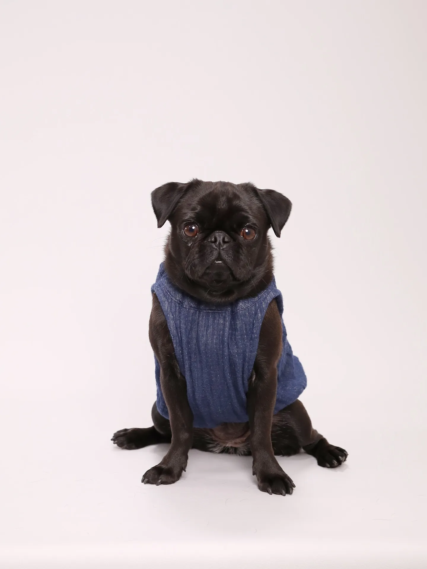 【Light-GRAY Photoshoot】