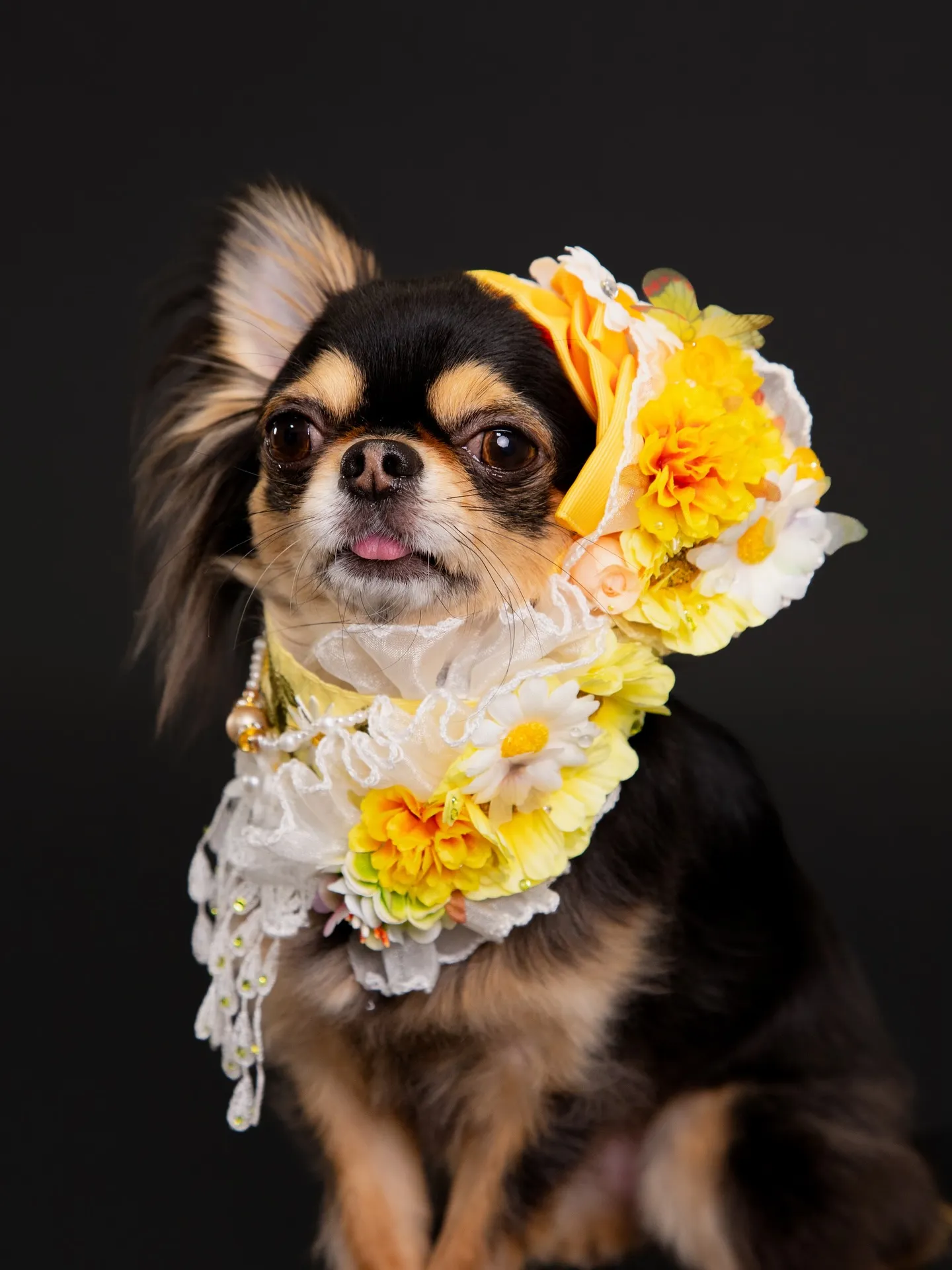 【BLACK Backdrop Photoshoot -Po...