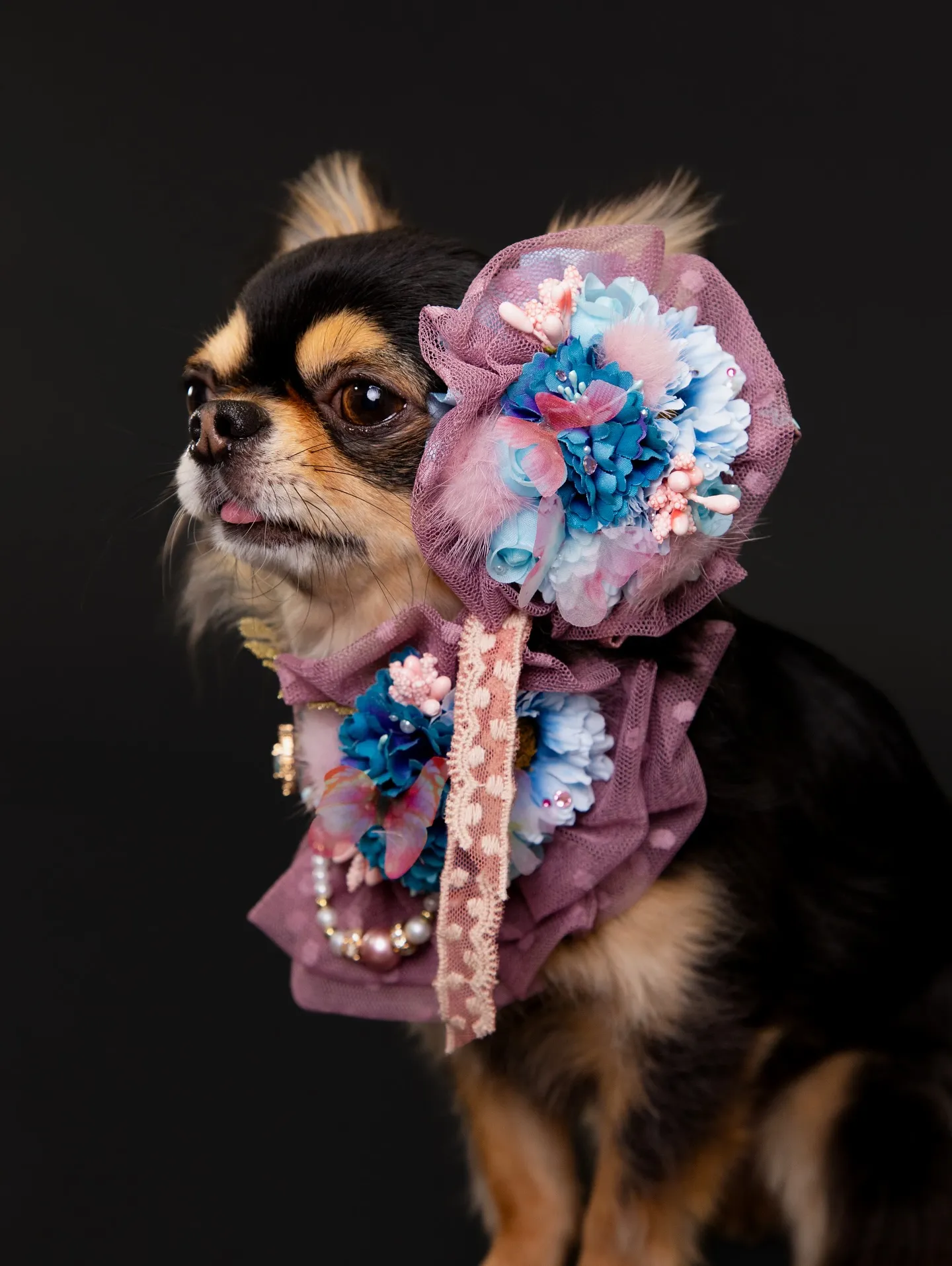 【BLACK Backdrop Photoshoot -Po...