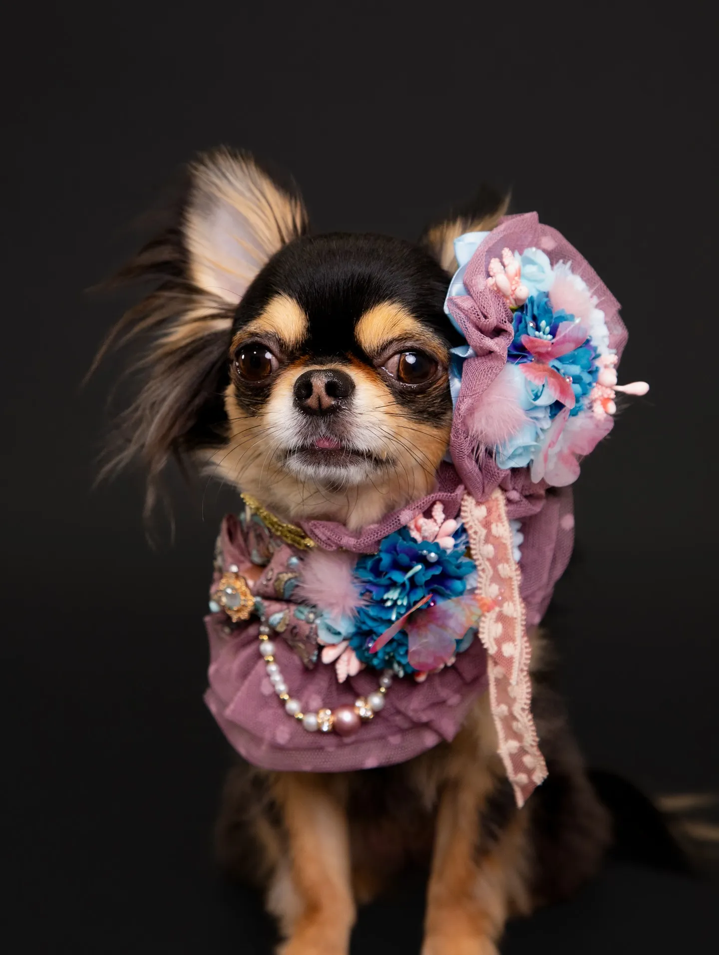 【BLACK Backdrop Photoshoot -Po...