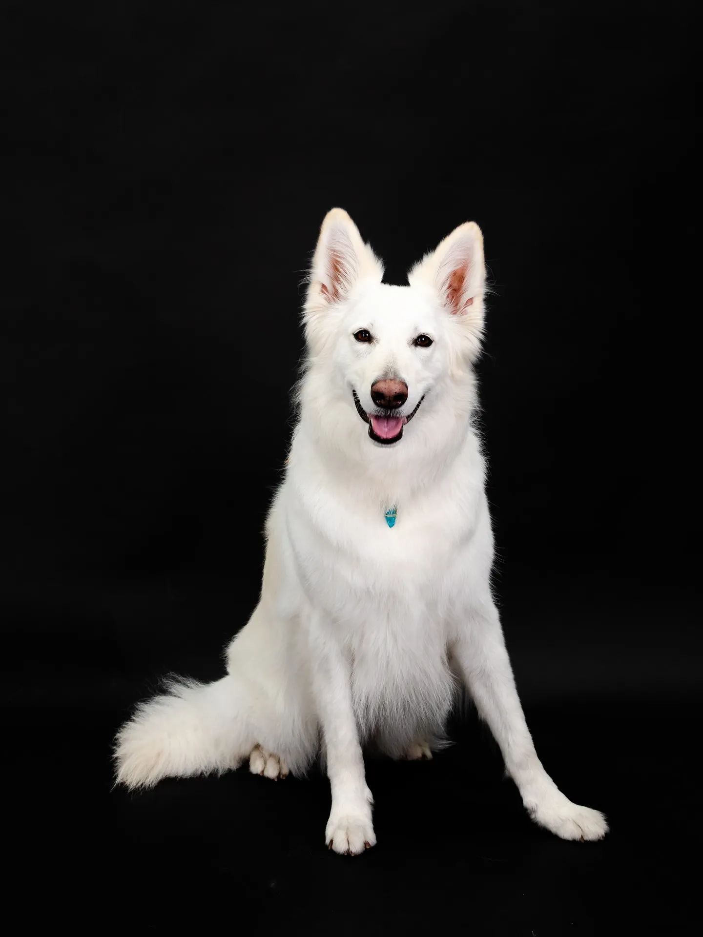 【BLACK Backdrop Photoshoot】