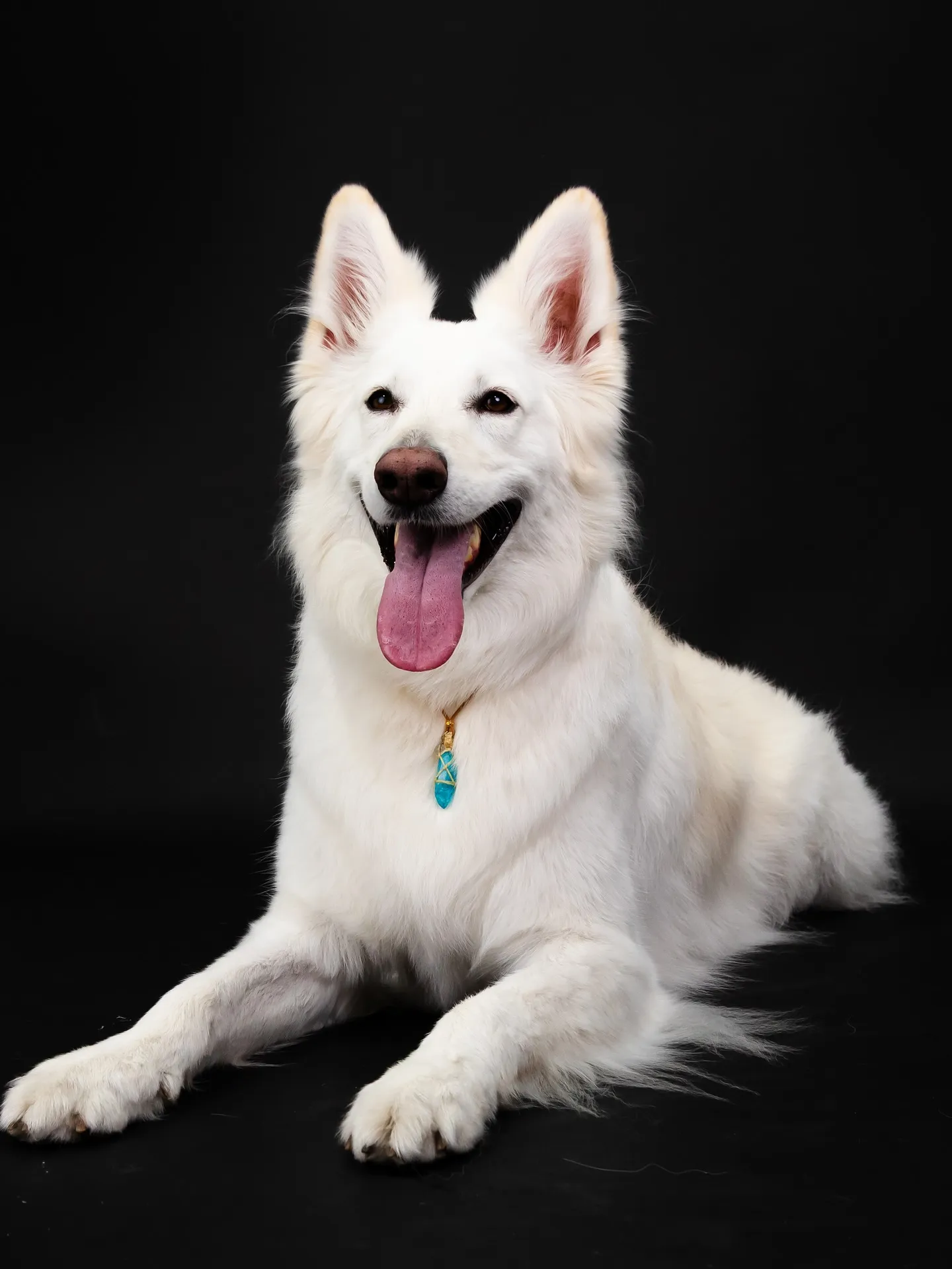 【BLACK Backdrop Photoshoot】