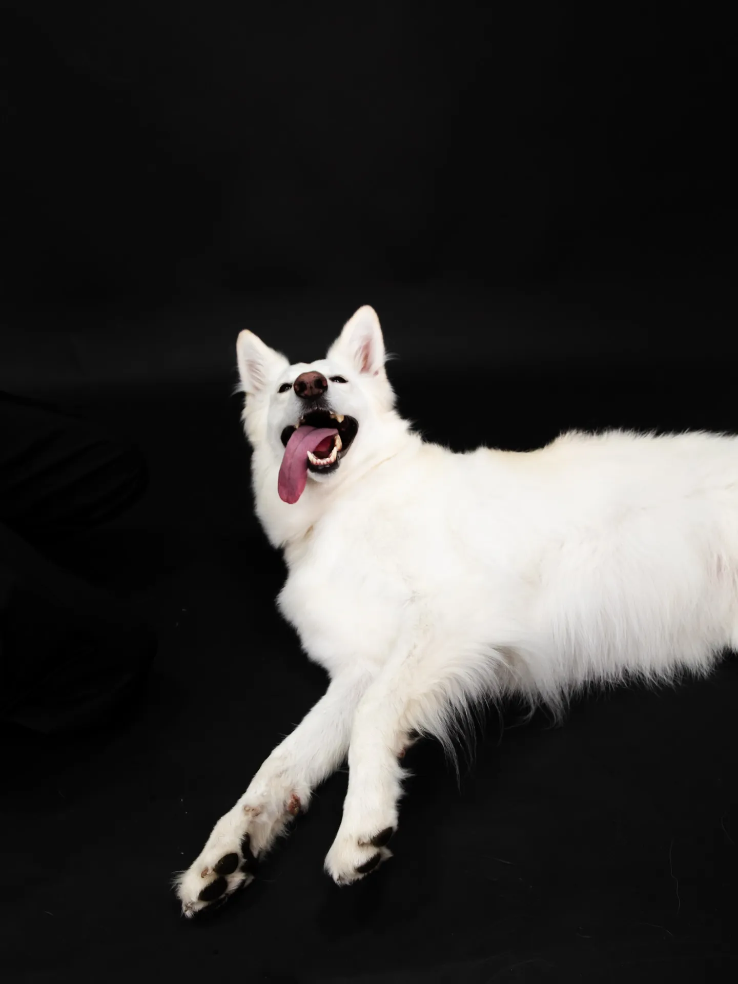 【BLACK Backdrop Photoshoot】