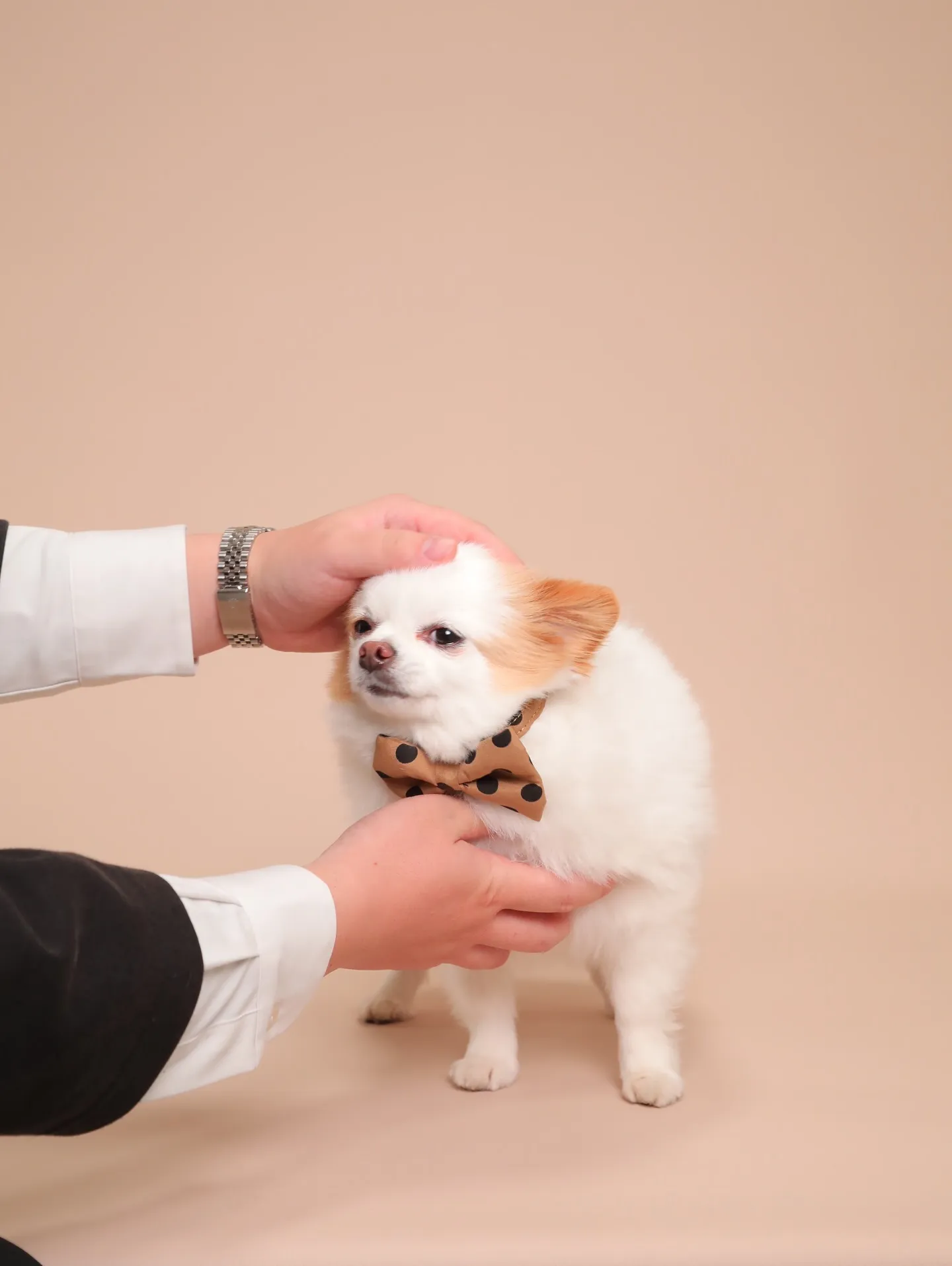 🌟ベージュ背景、カラーリニューアルしました🌟