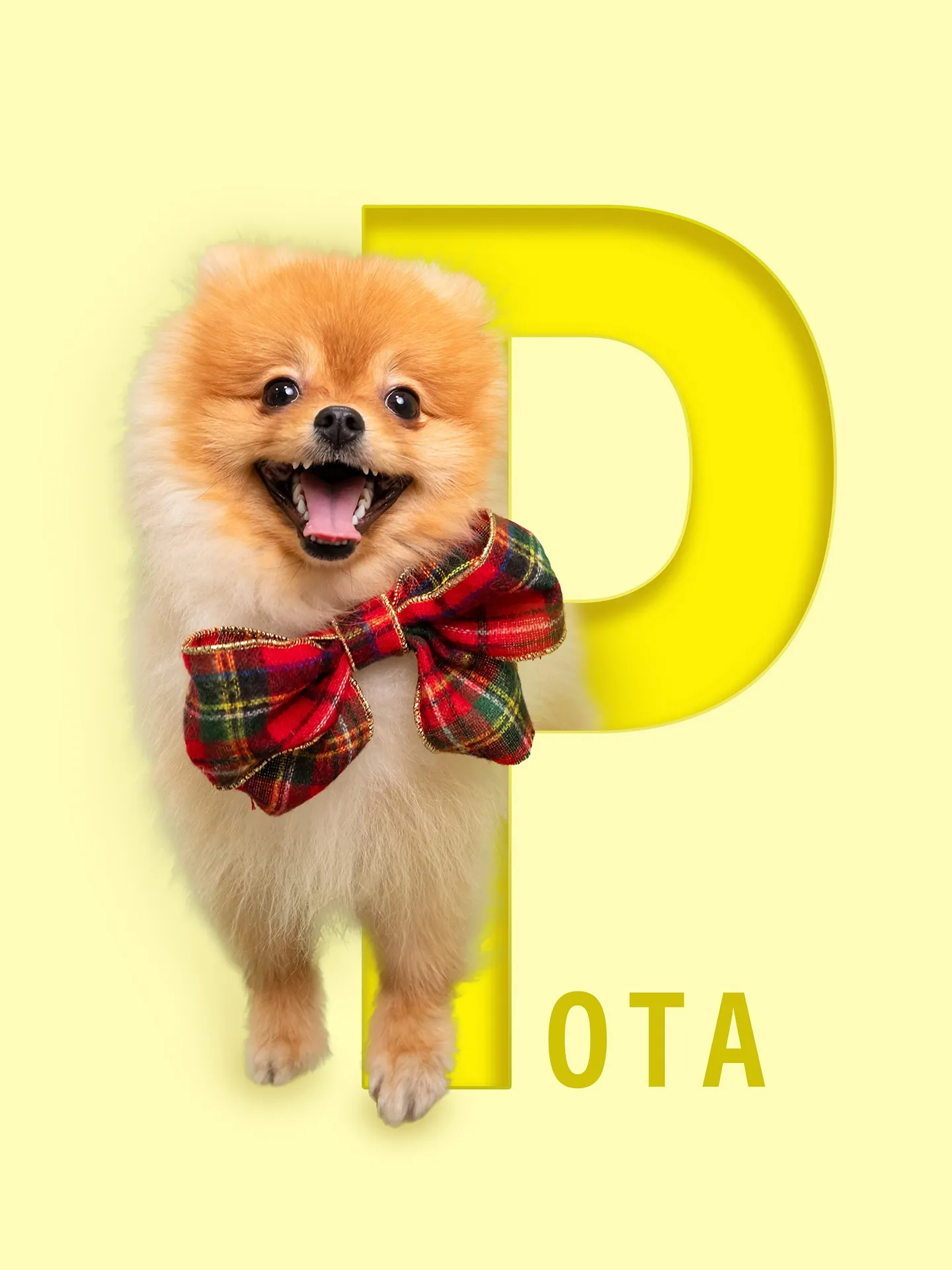 【アルファベットART／データ納品／1頭デザイン】