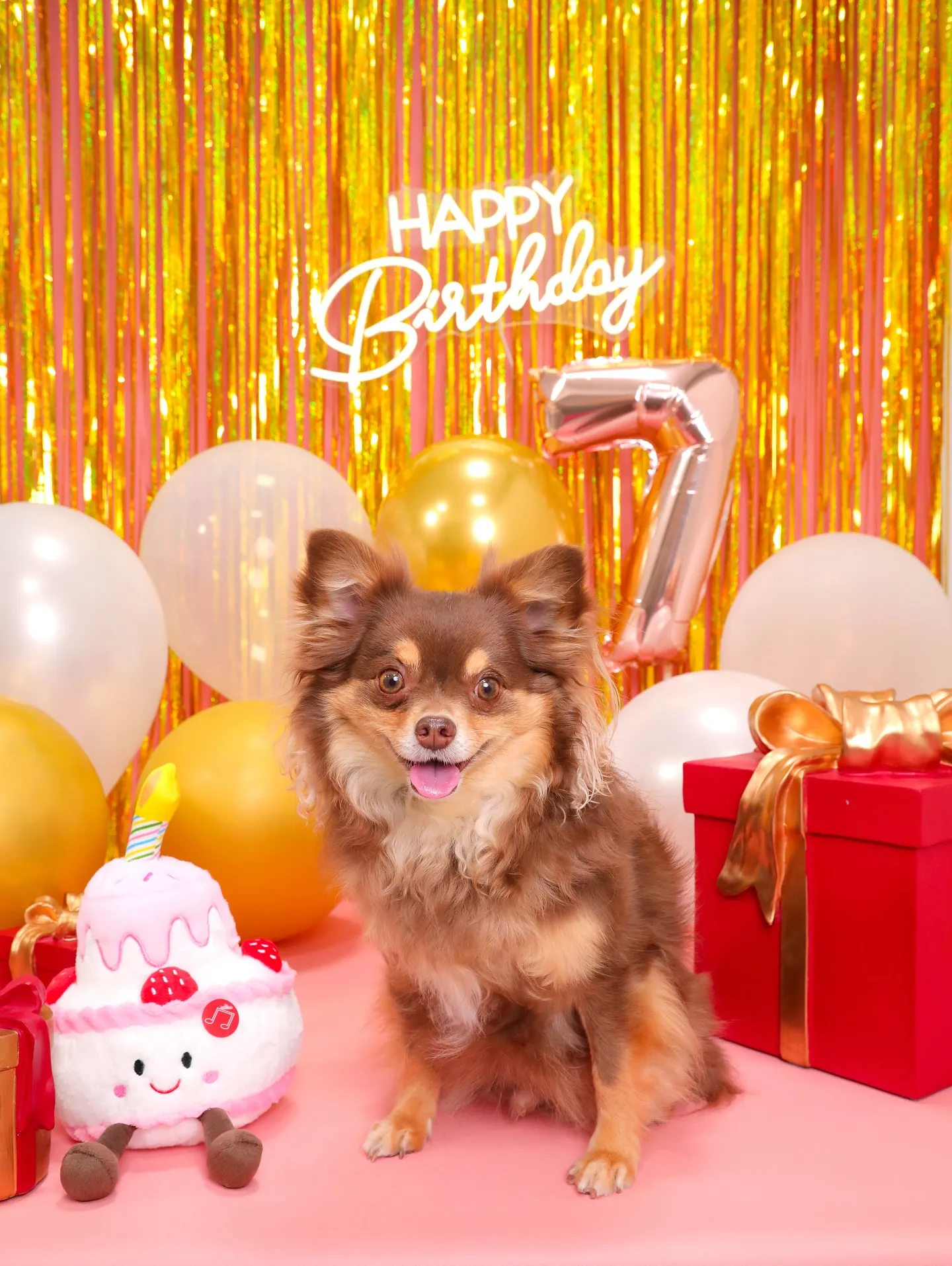 【Birthday🎉Photoshoot -ピンク-】