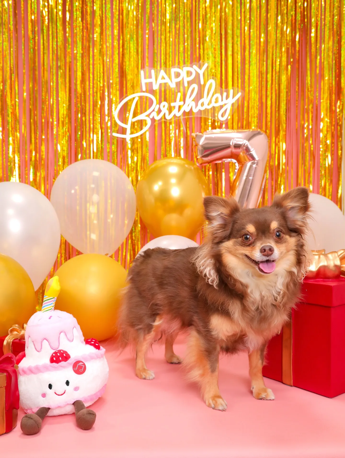 【Birthday🎉Photoshoot -ピンク-】