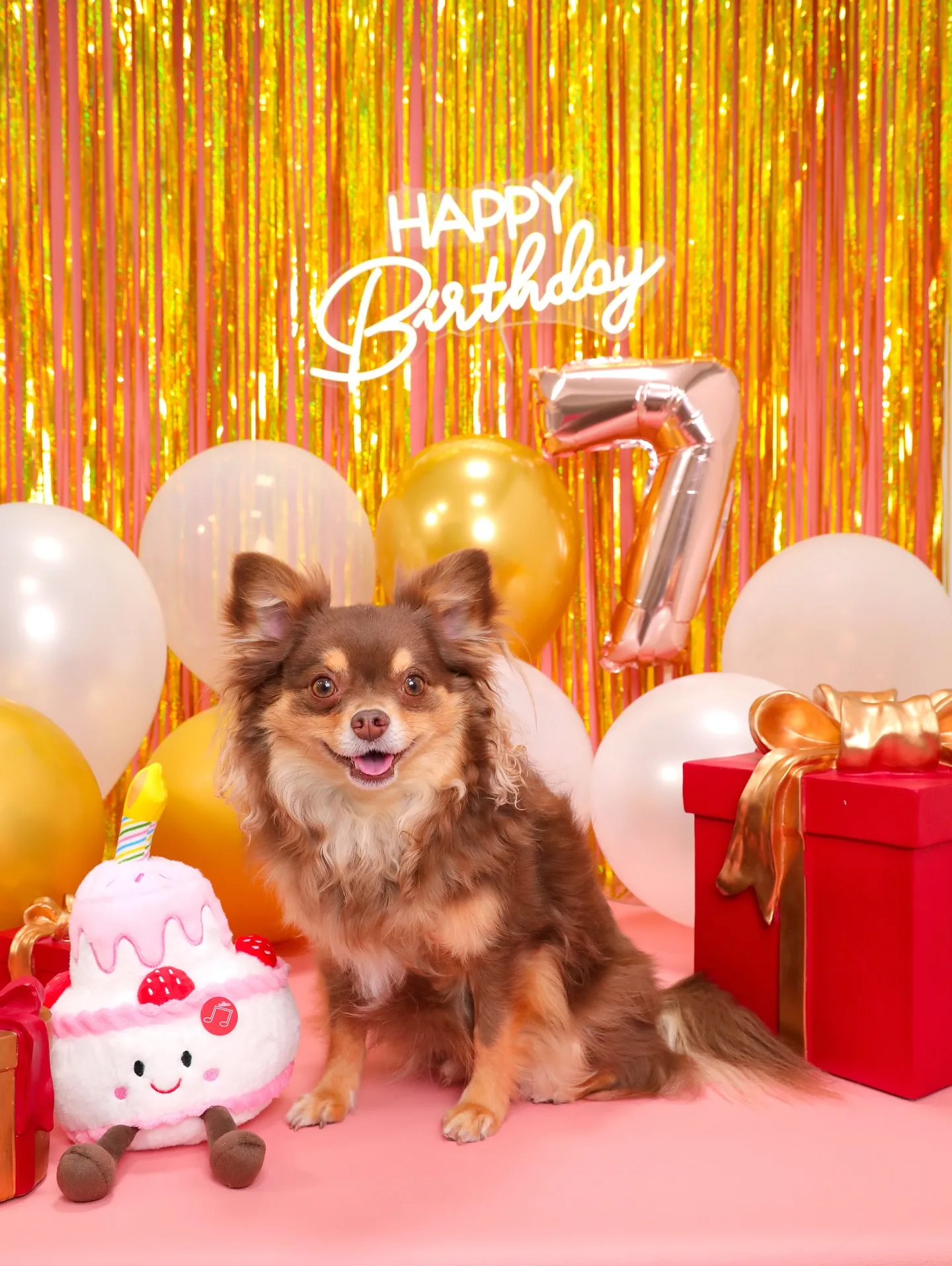 【Birthday🎉Photoshoot -ピンク-】