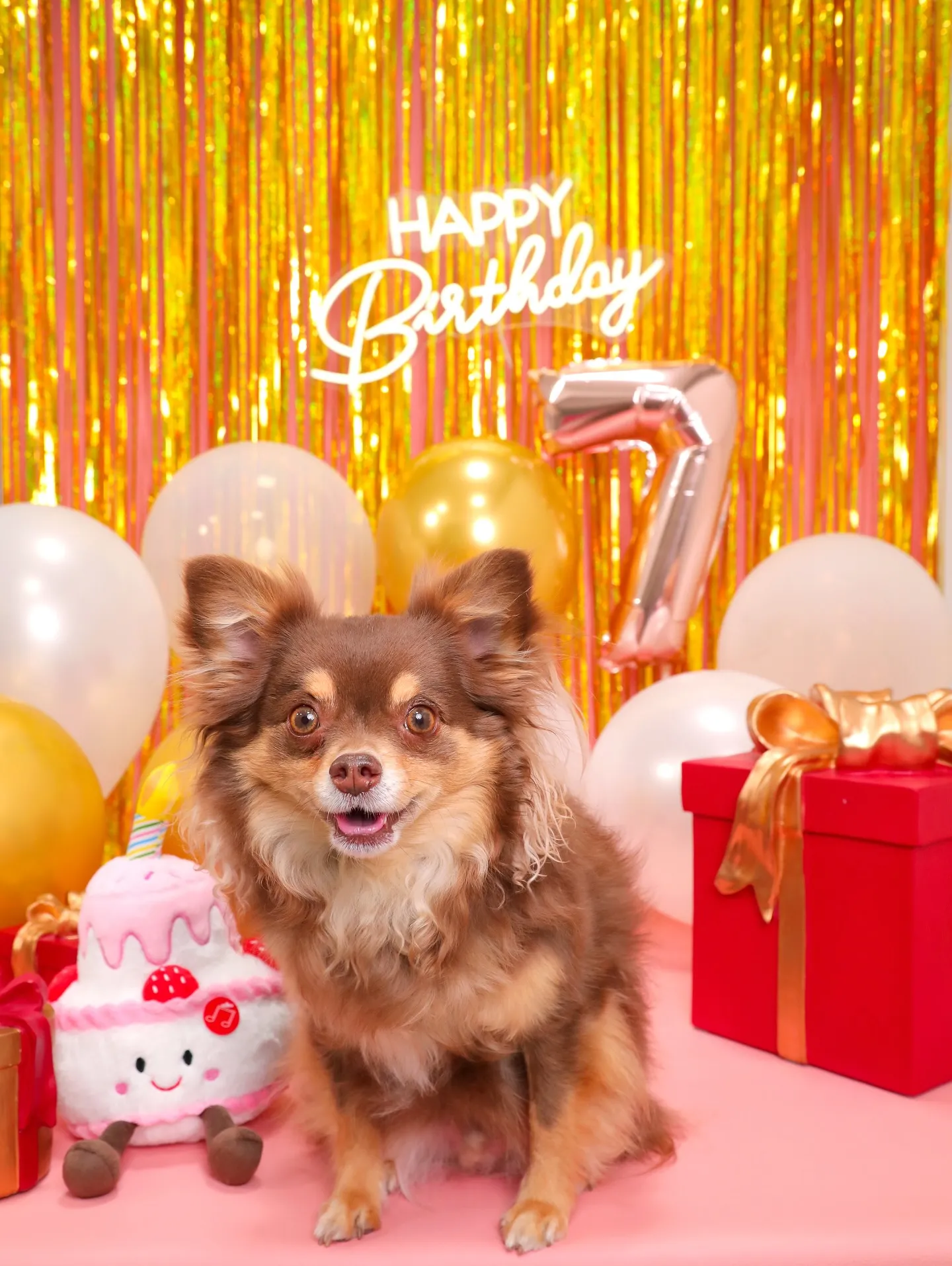 【Birthday🎉Photoshoot -ピンク-】