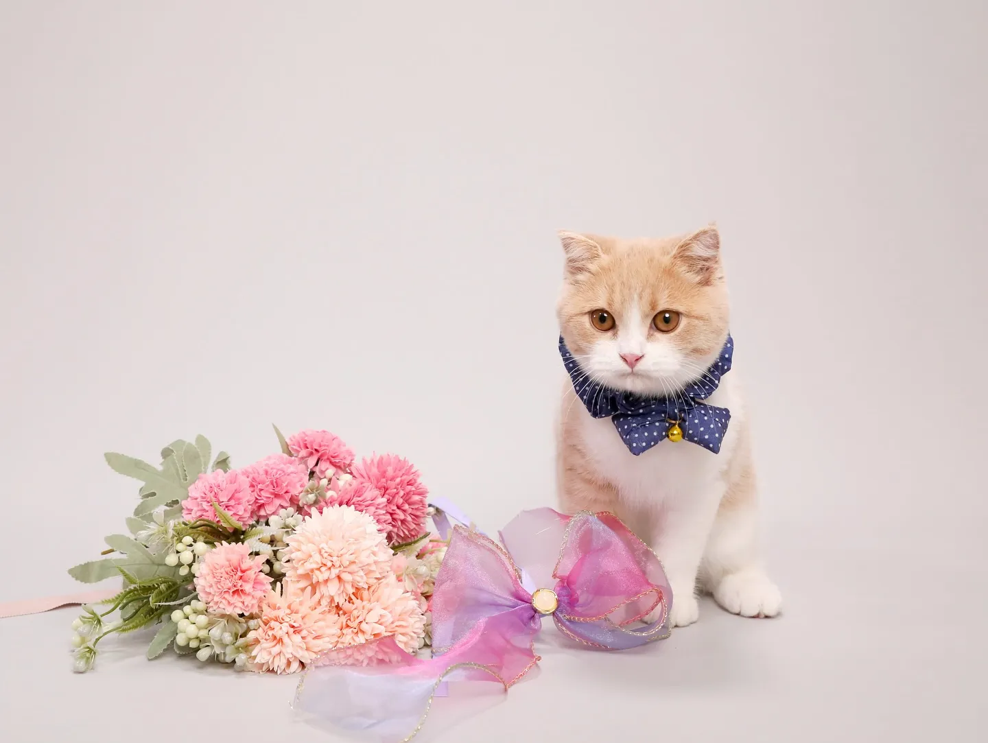 【Light-GRAY Photoshoot】