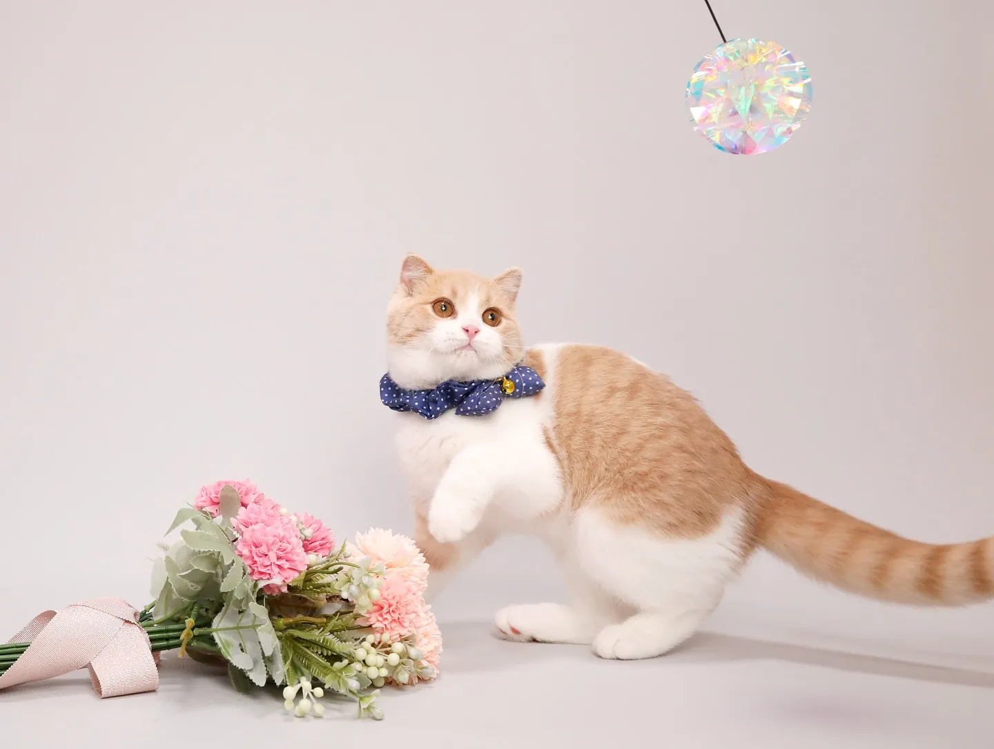 【Light-GRAY Photoshoot】