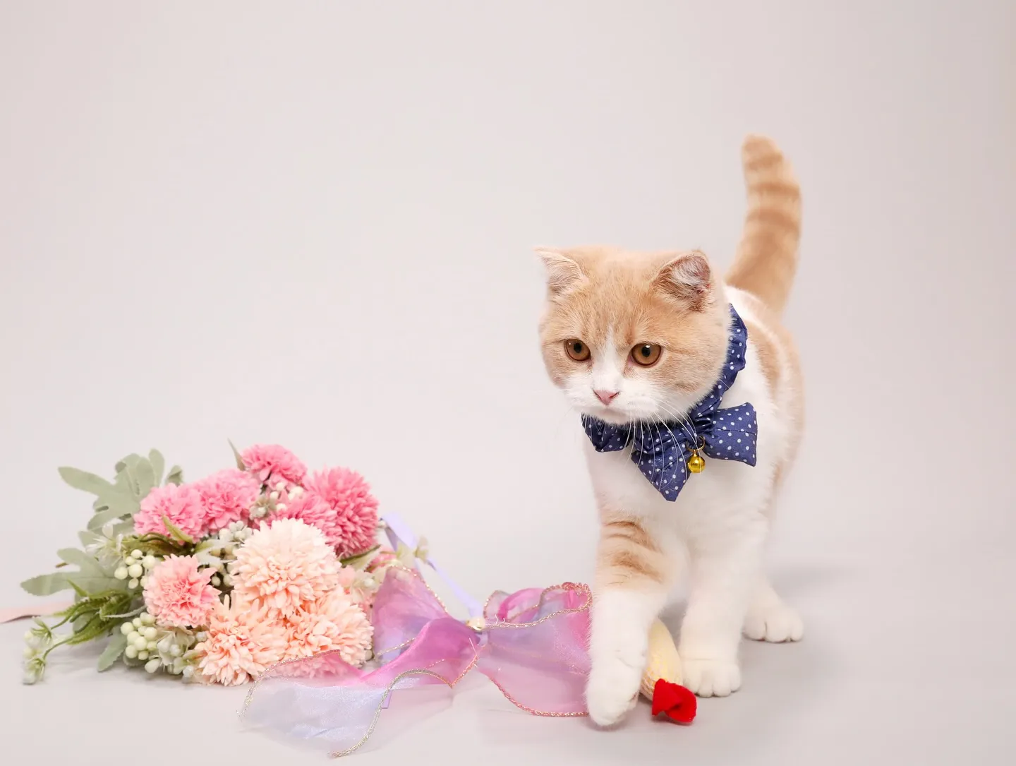 【Light-GRAY Photoshoot】