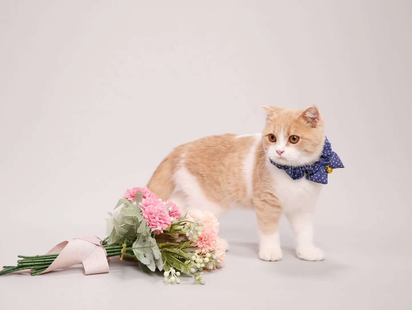 【Light-GRAY Photoshoot】