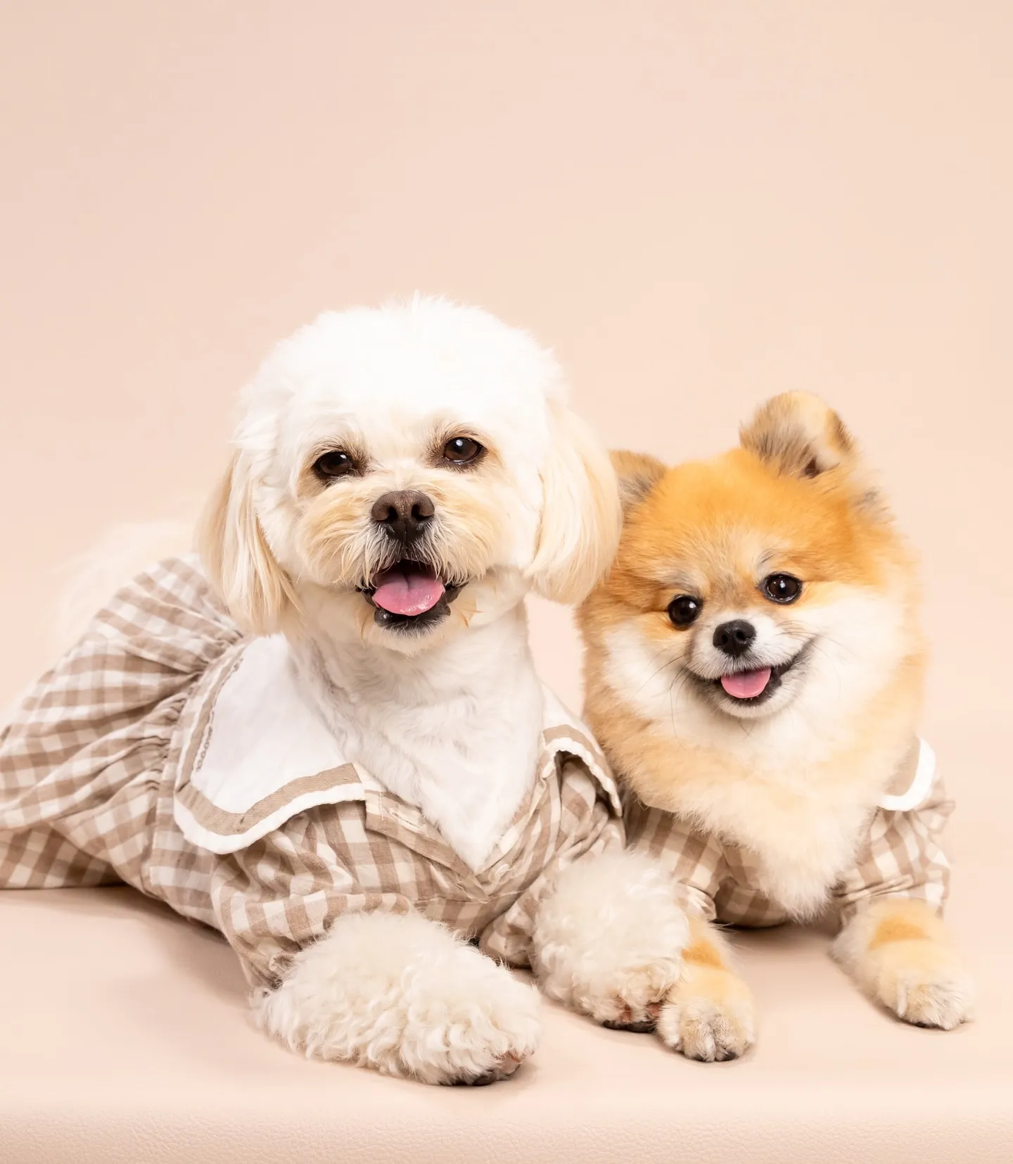 ベージュ背景｜思い出を作るソロ＆家族撮影