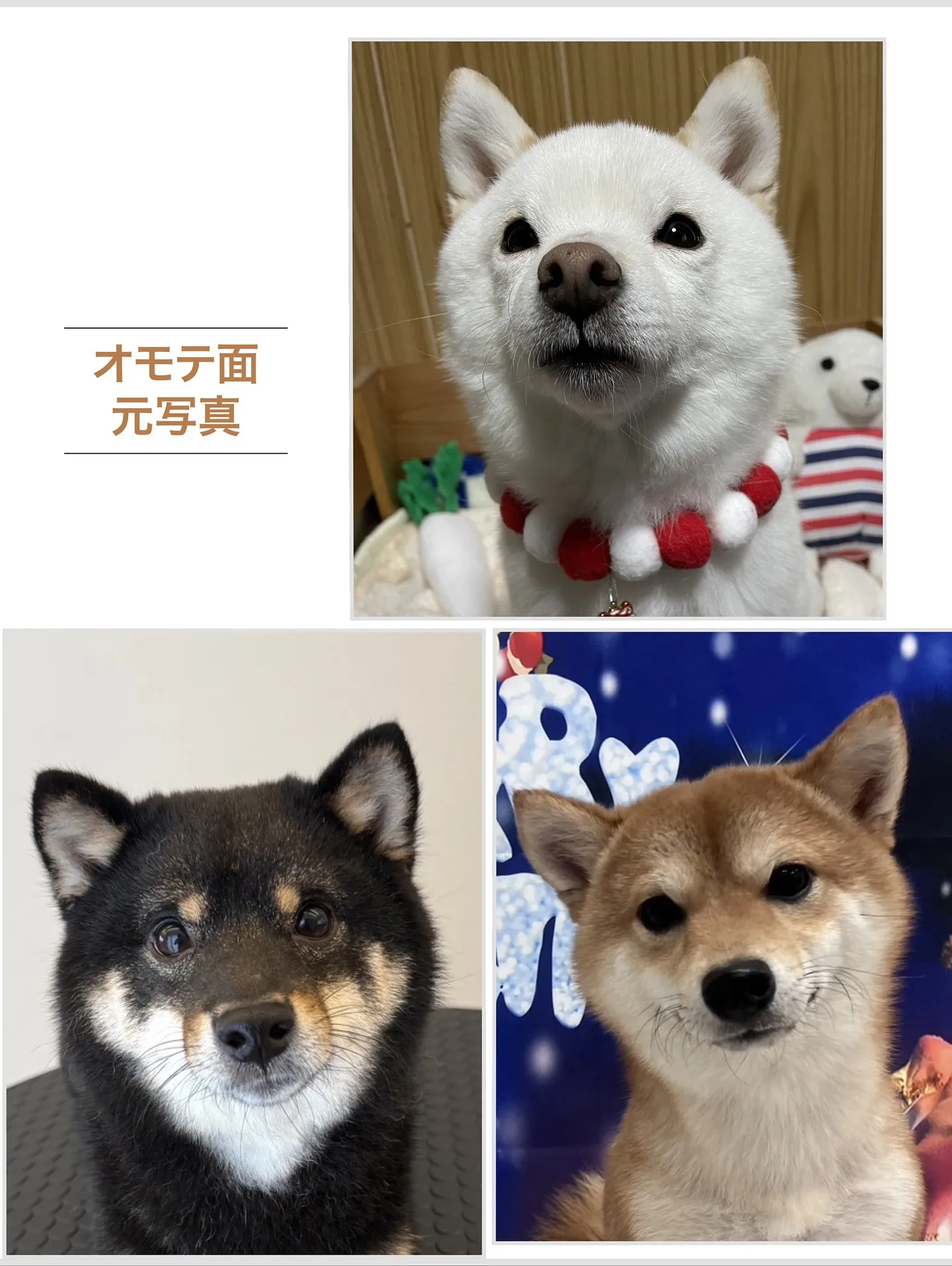 【うちの子名刺／アルファベットART／3頭デザイン】