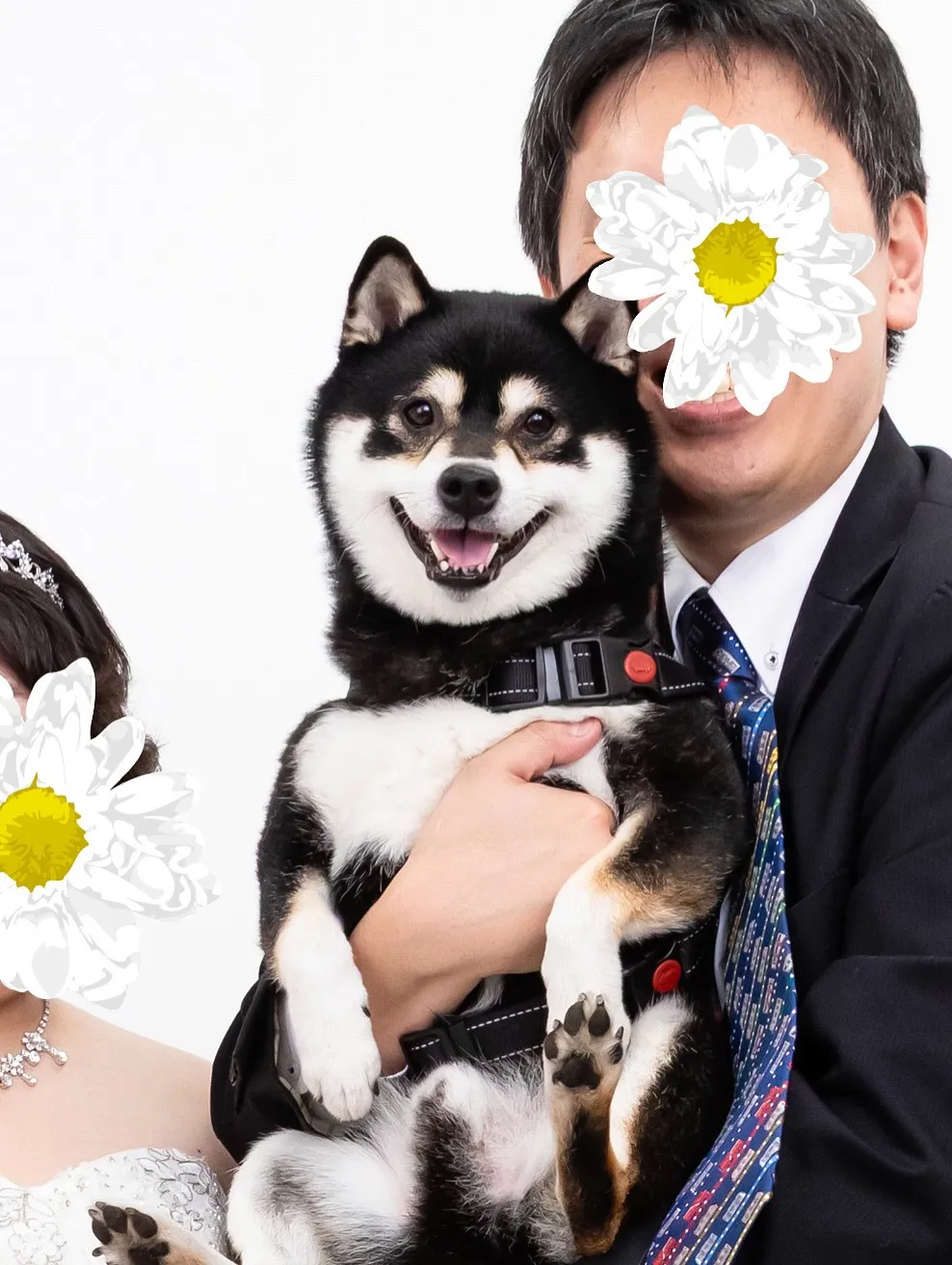 【アルファベットARTポスター／2L額縁／1頭デザイン】