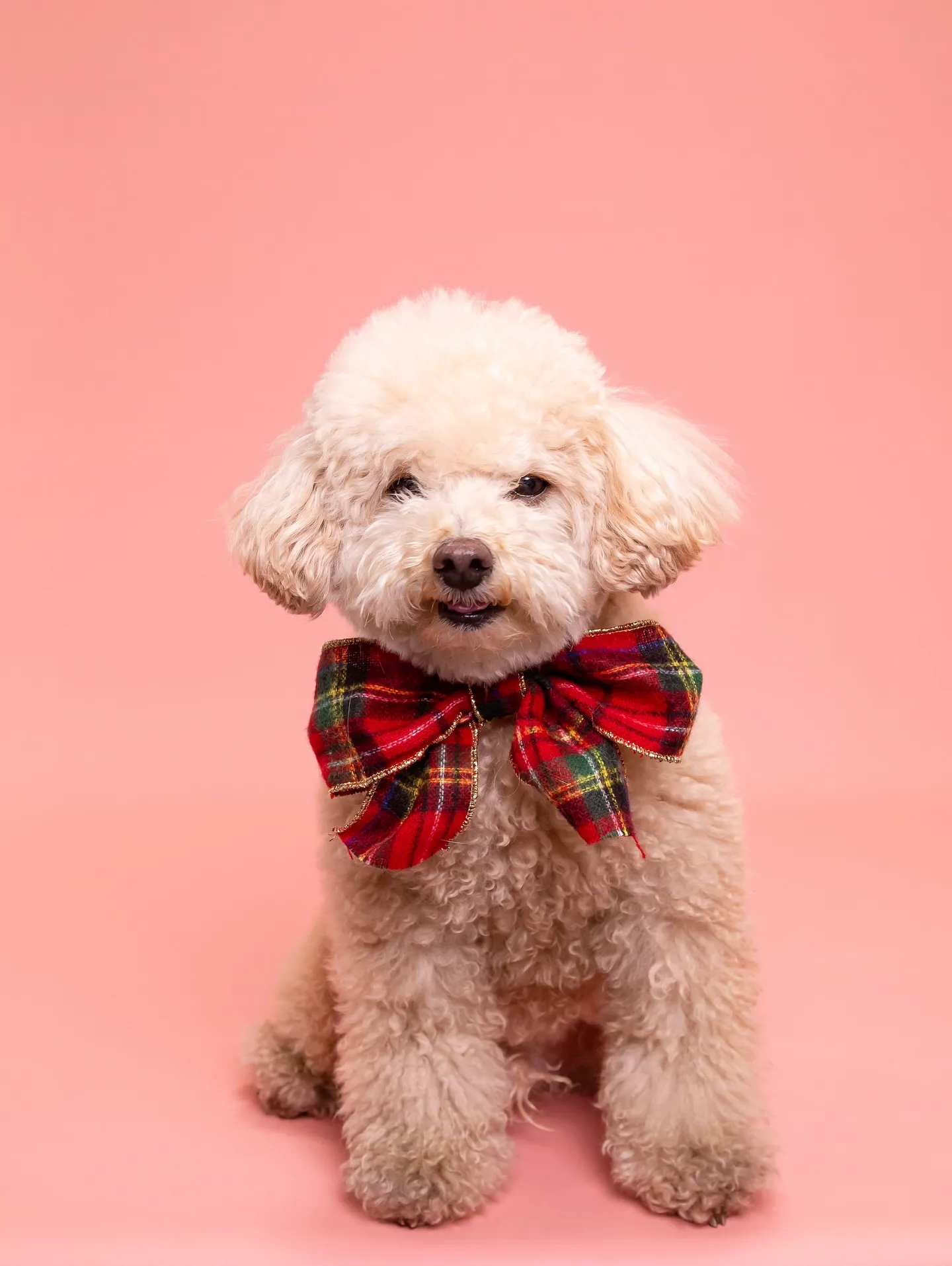 【アルファベットARTポスター／2L額縁／2人デザイン】