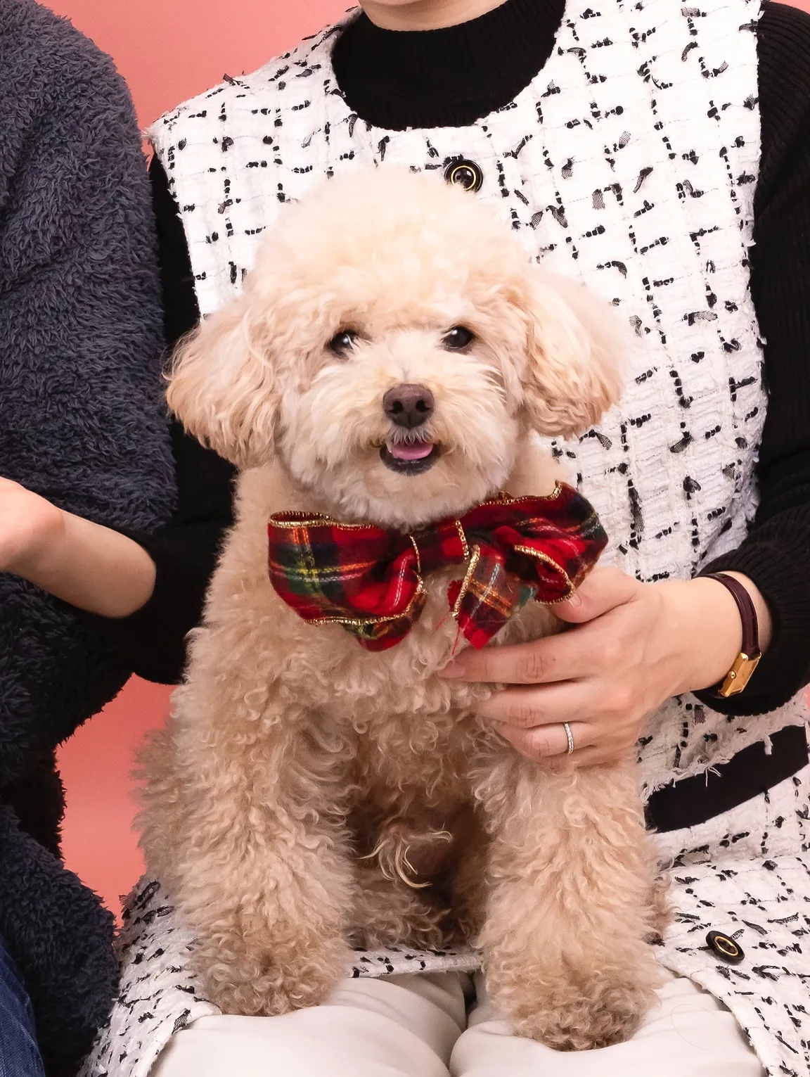 【アルファベットARTポスター／2L額縁／2人デザイン】