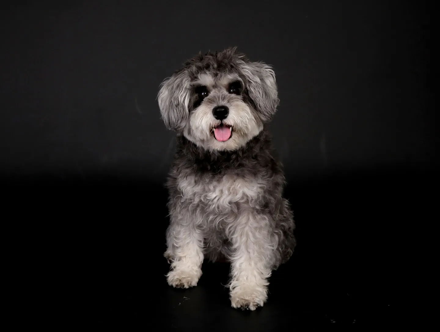 【BLACK Backdrop Photoshoot -So...