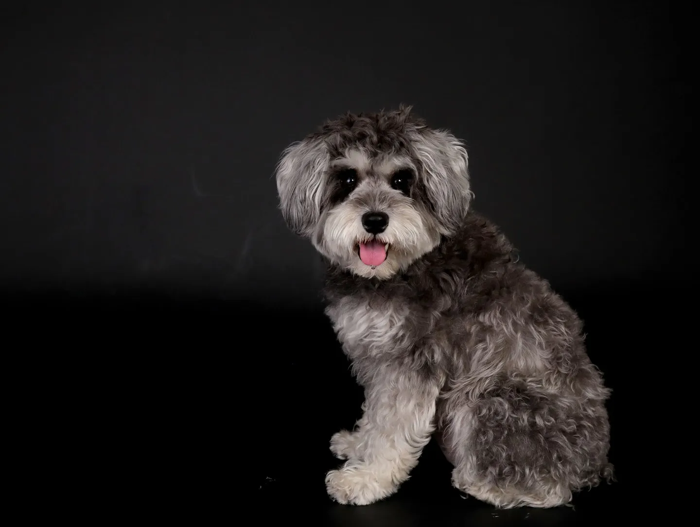 【BLACK Backdrop Photoshoot -So...