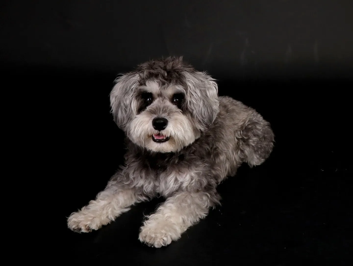 【BLACK Backdrop Photoshoot -So...