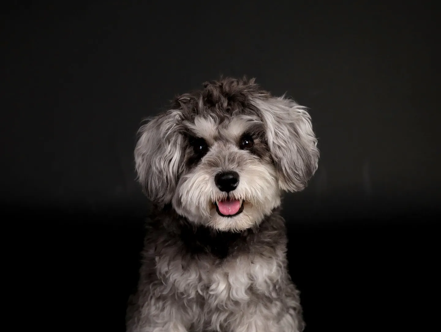 【BLACK Backdrop Photoshoot -So...