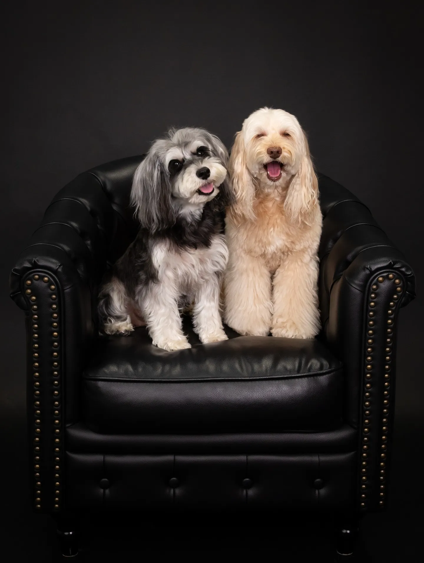 【BLACK Backdrop Photoshoot -BL...