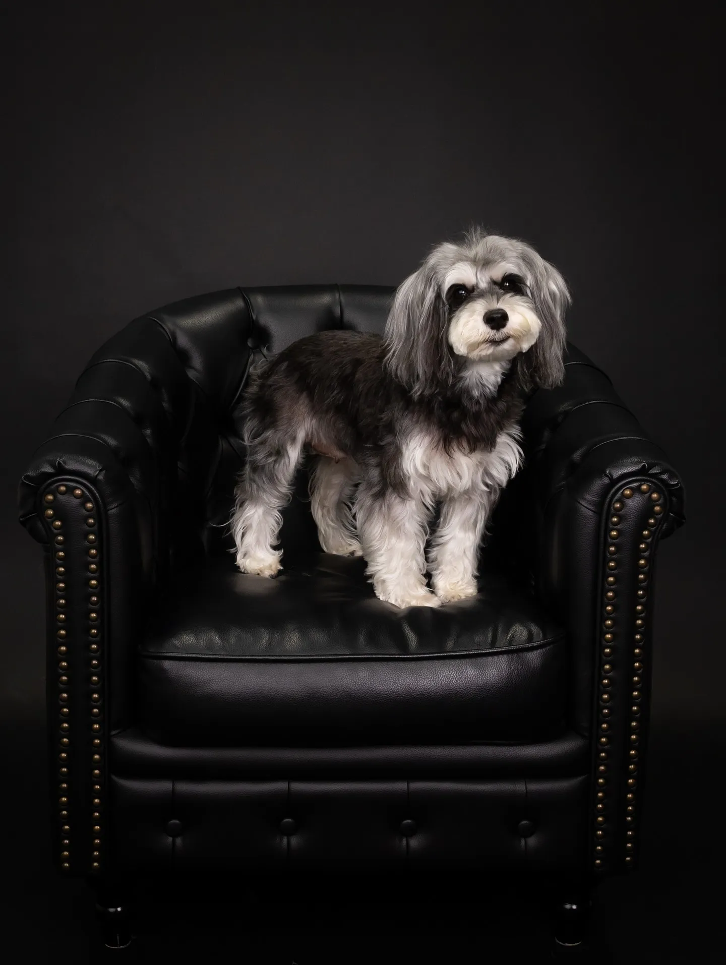 【BLACK Backdrop Photoshoot -BL...