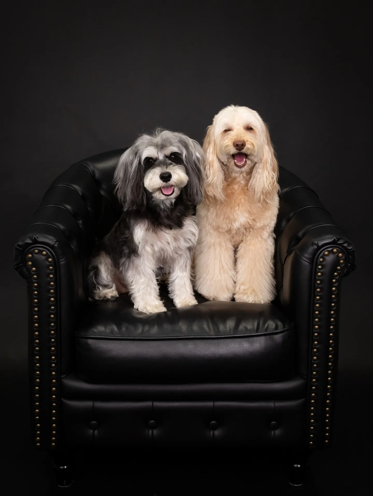 【BLACK Backdrop Photoshoot -BL...