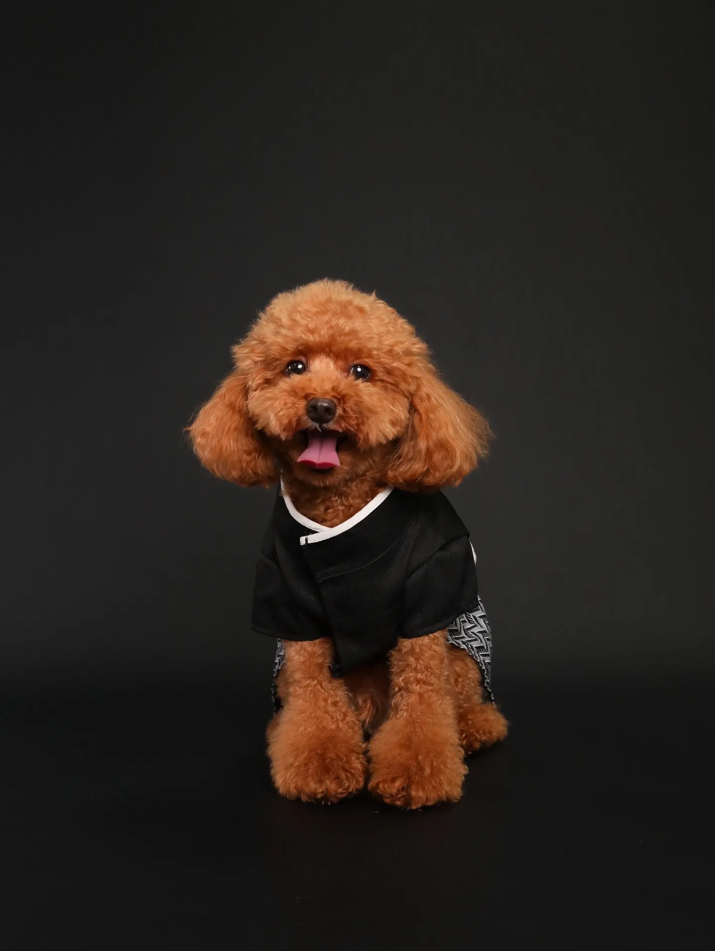 【BLACK Backdrop Photoshoot -So...